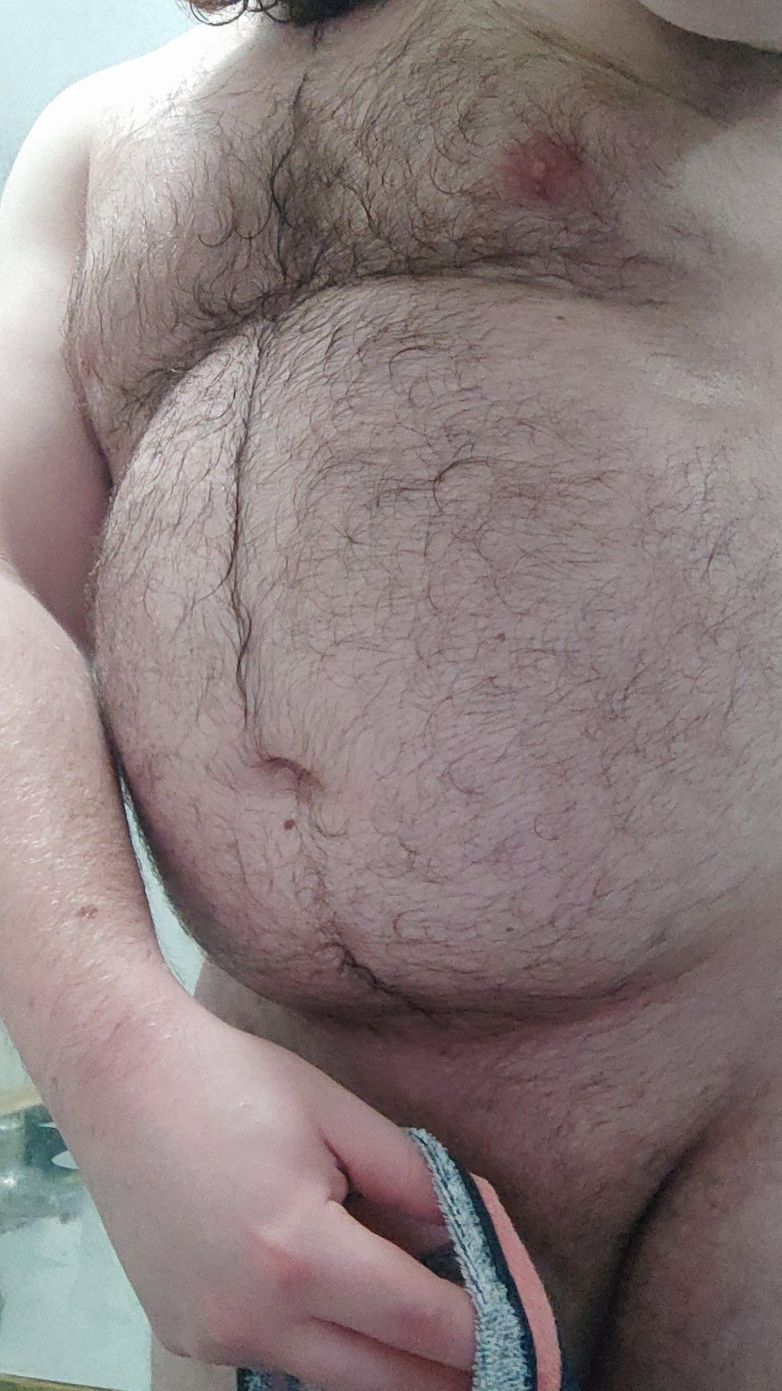 Fat hairy man, naked with wet chest and belly hair, holding the corner of a towel over his junk, barely obscuring it