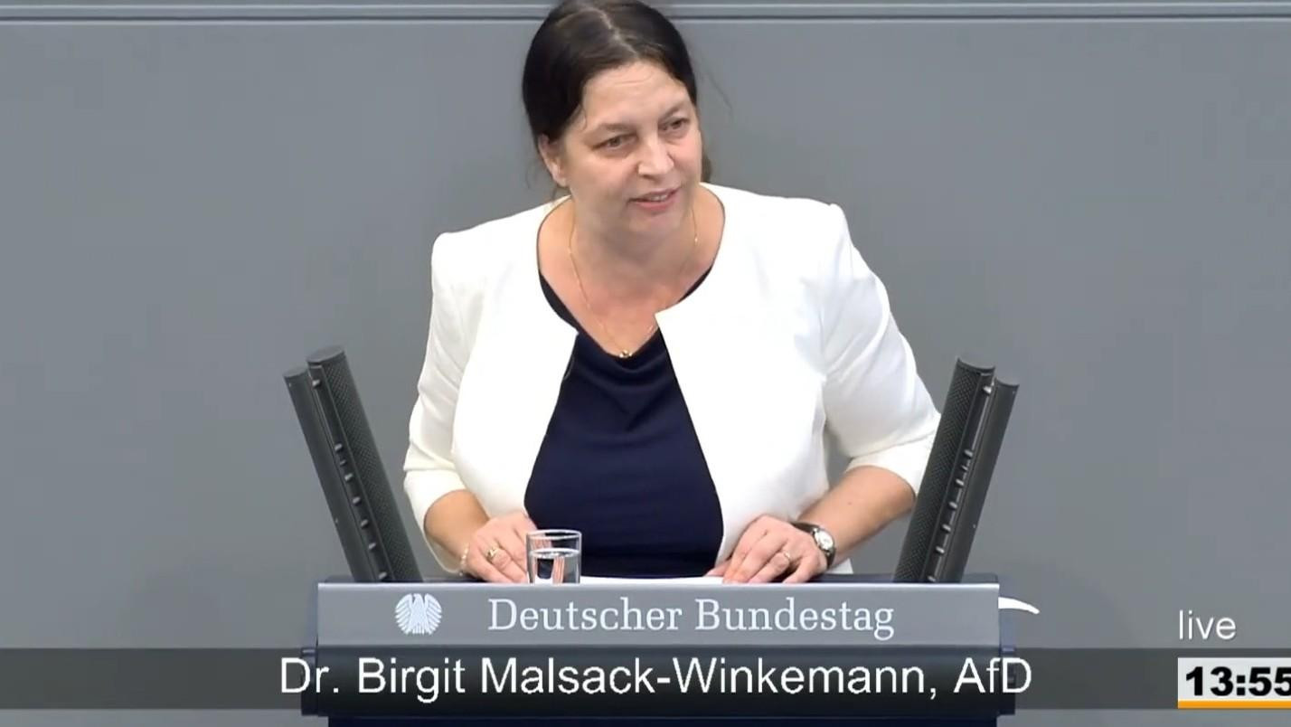 Ein Führungskreis („Rat“) traf sich auf dem Jagdschloss Waidmannsheil in Bad Lobenstein. Der „Rat“ bestand aus sechs Ressorts, die frühere Richterin Malsack-Winkemann für das Ressort Justiz. Screenshot: Bundestag via @AfDBayernTV1