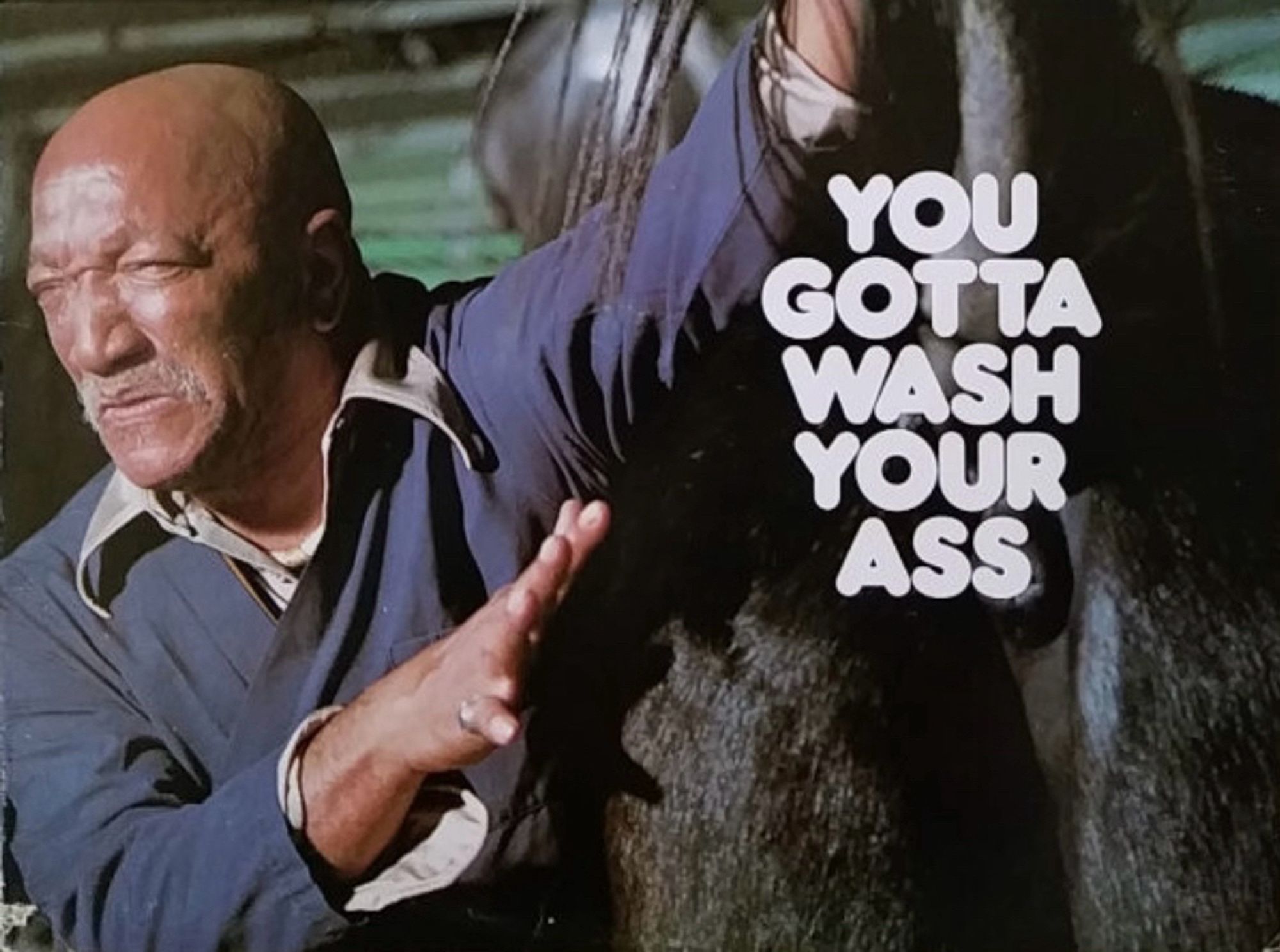 Album cover of a Redd Foxx comedy album. Redd is lifting up the tail of a donkey, pointing to its rear while looking away with a disgusted face. The  Mae of the album cleverly hides what Redd is trying to show us. Text reads, “You Gotta Wash Your Ass.”