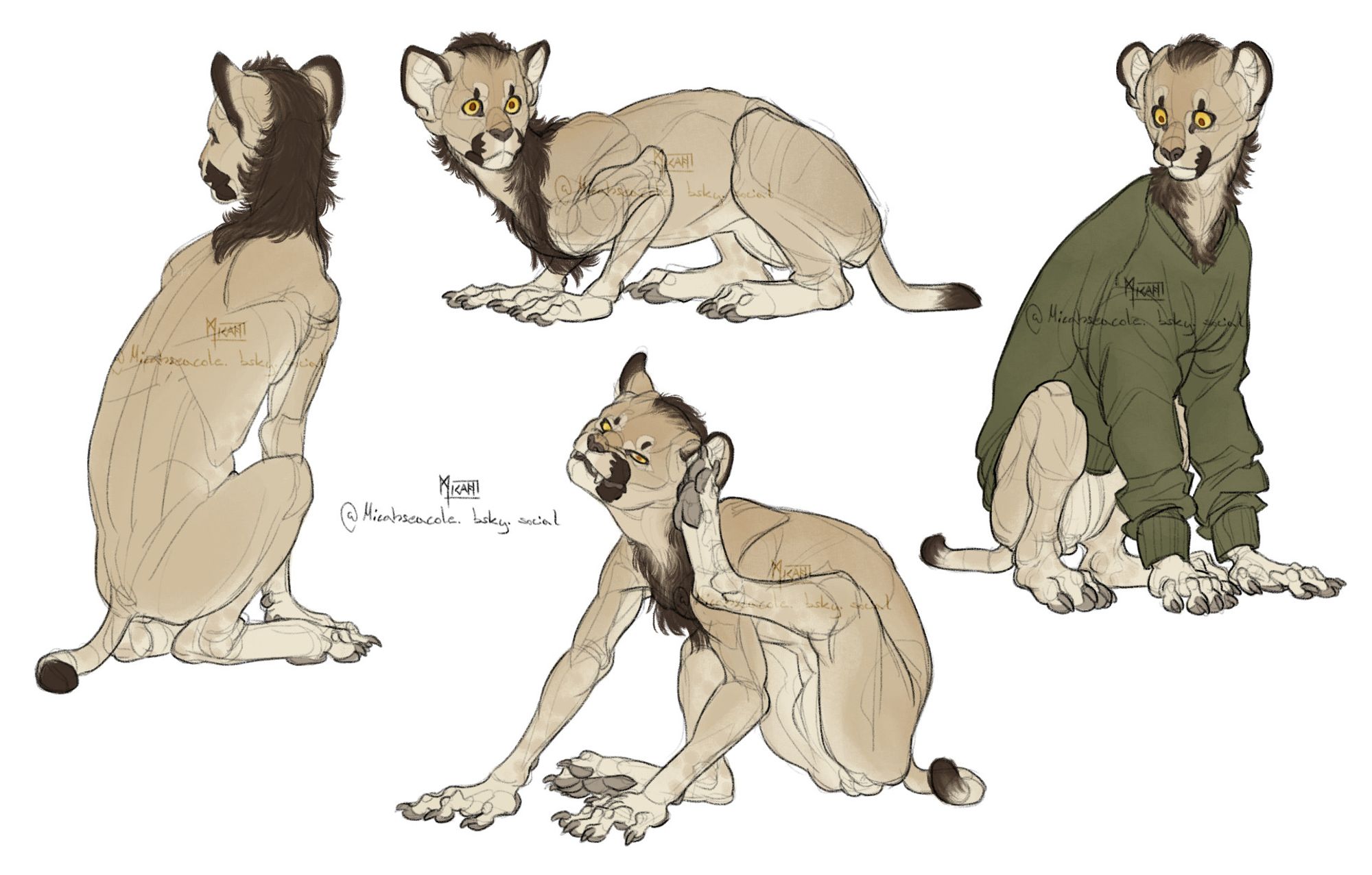 4 colored digital sketches of a male sphinx (the mythological kind).
He is a mix of lion and human, with the two species anatomy blending seamlessly into one another. His appearance is quite uncanny because of this, with too long gangly limbs and human like hands. Kyri's fur is colored like that of a lion, pale beige with a brown mane, and he has wide yellow and copper eyes.
Poses (clockwise, starting at top): Crouched and looking to his left, sitting while looking at the ground and wearing a green long-sleeve sweater that is not made for his anatomy and way too big, sitting and giving his left ear a really good scratch with a back paw, sitting turned away from the viewer.