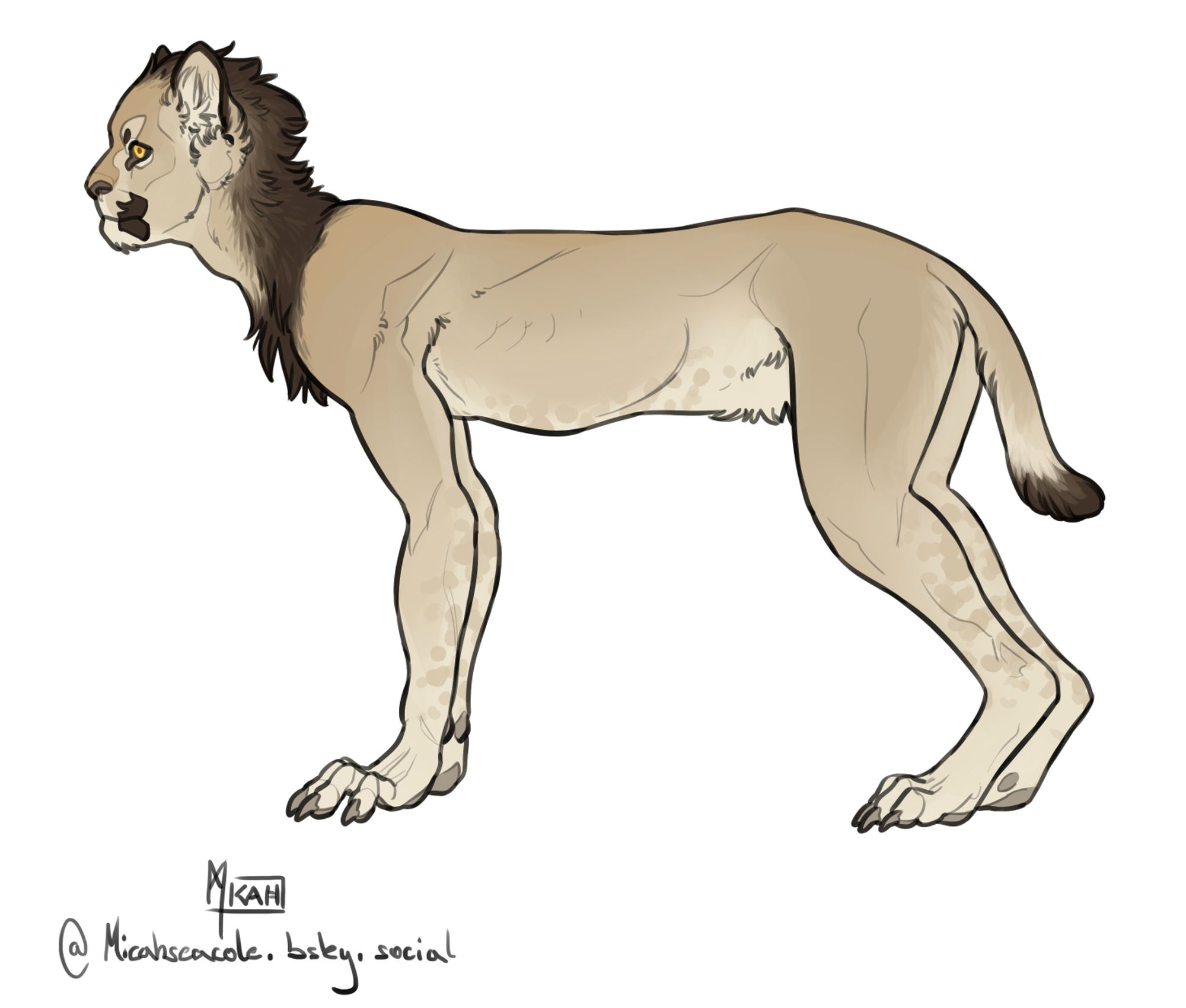 a digital illustration of a sphinx. He is standing on all fours and is seen in side profile.
His body structure is a mix of human and lion, with uncanny proportions and facial structures that fall neither in lion nor human anatomy comfortably. He has large round ears, a short snout, long human like arms and hands and a short tail.
His fur is colored like that of a lion, with some light spotting on his legs and belly. His short mane and tail tip are both dark brown.