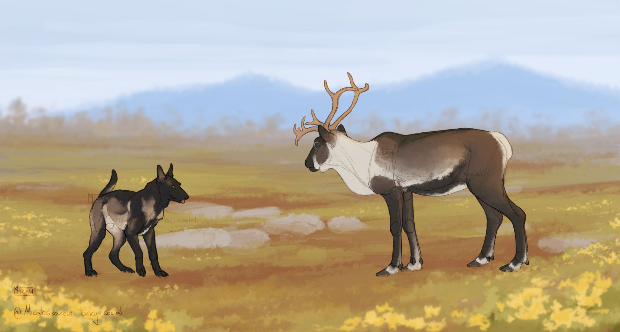 Rakki, a 2 year old Belgian Malinois with mostly black fur (especially on the front of his body), and Fjall, a reindeer with wild-type coloration and small sized antlers, standing on the Russian tundra. The ground is covered in red and green plants and some yellow flowers. There are trees visible in the background and mountains in the far distance.
Fjall and Rakki are staring each other down. Rakki is tapping his front paws on the ground and wagging his tail, while Fjall looks at him with curiosity.