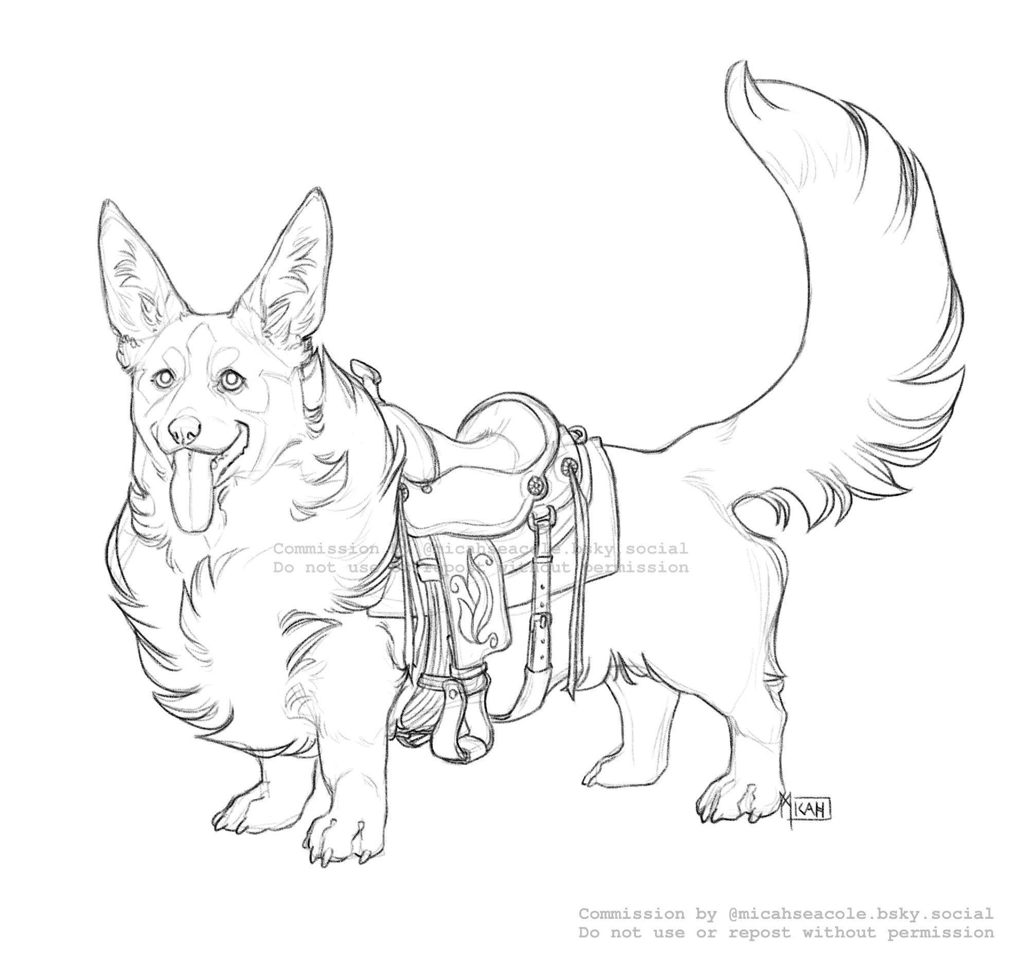 A corgi with long pointy ears, a very fluffy neck and long fluffy tail standing and happily panting. He is wearing a western saddle with a floral design on the fender.