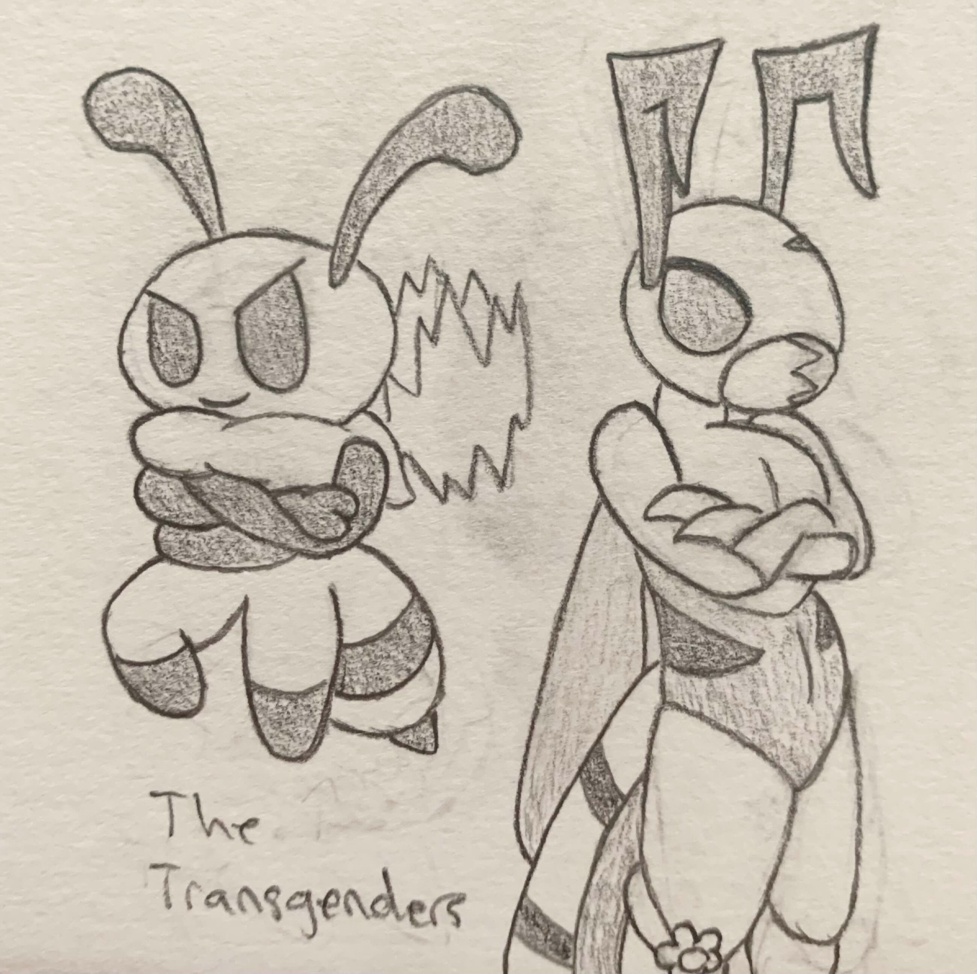 Vi and Zasp from Bug Fables standing with their backs to each other, arms crossed and glancing at the camera. Vi is hovering in place. Text in the bottom left corner reads, "The Transgenders"