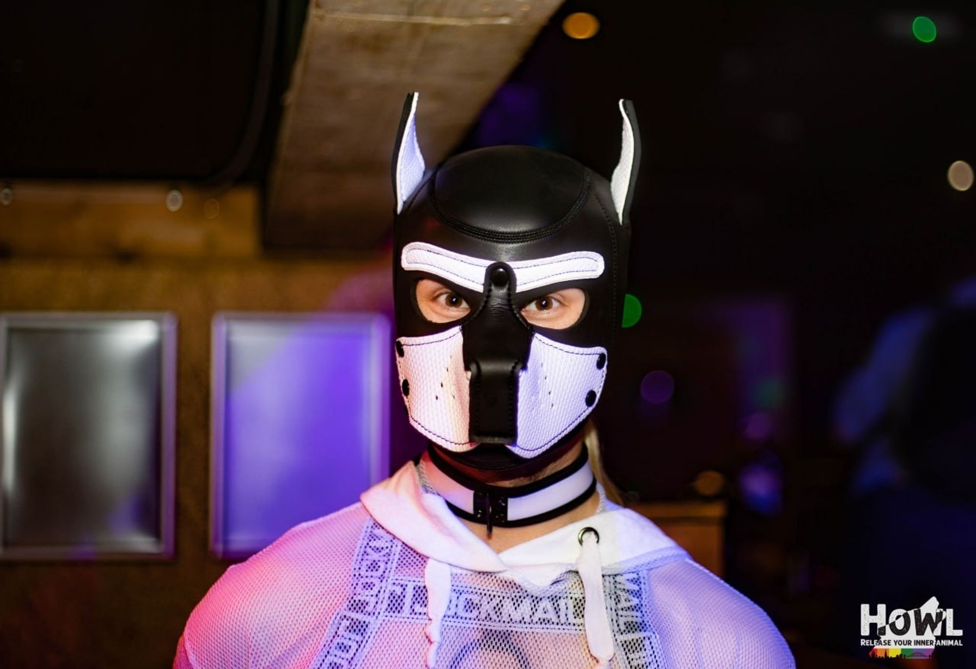 Black and white puppy hood human pup, jockmail harness, mesh hoodie