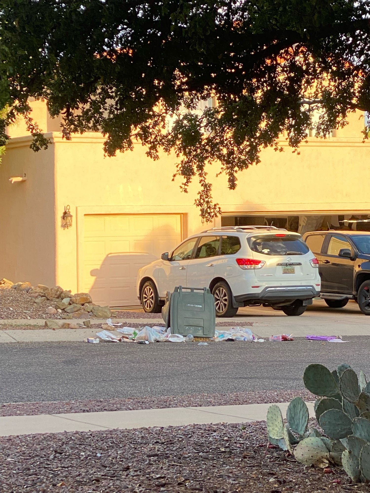 A green garbage bin is toppled over with trash strewn across the street. The javelinas had a feast. This happens regularly.