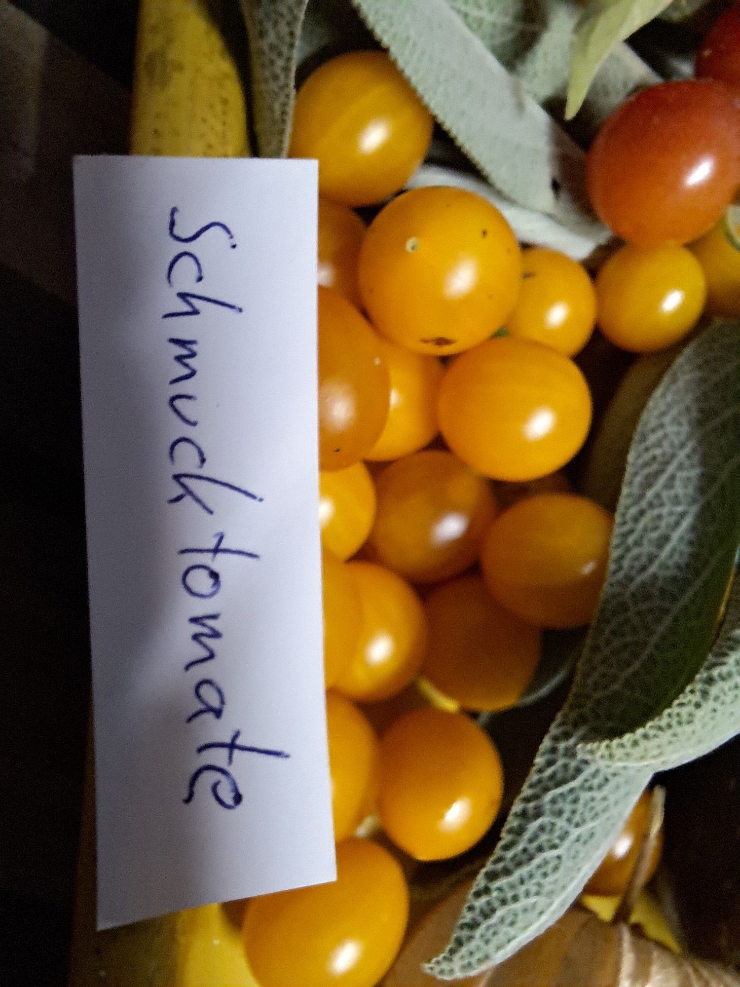 Kleine, gelbe, Birnenförmige Tomaten, auch in Heidelbeergröße