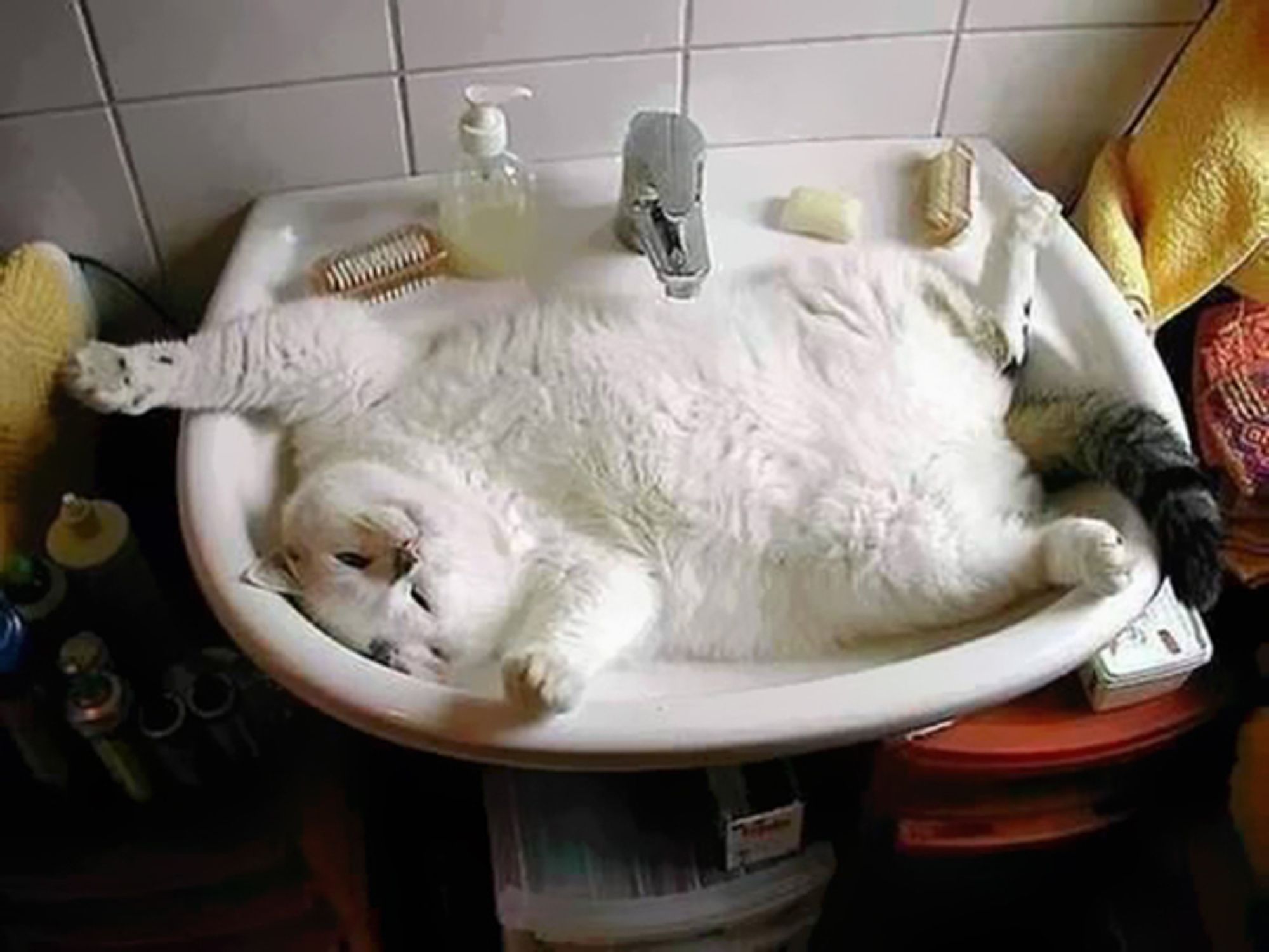 I need a bigger sink!