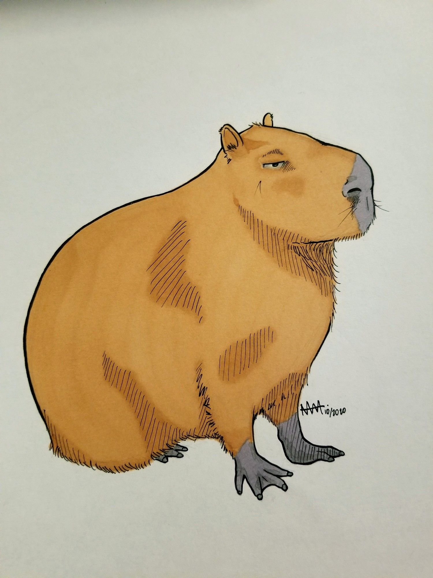 an illustrated capybara