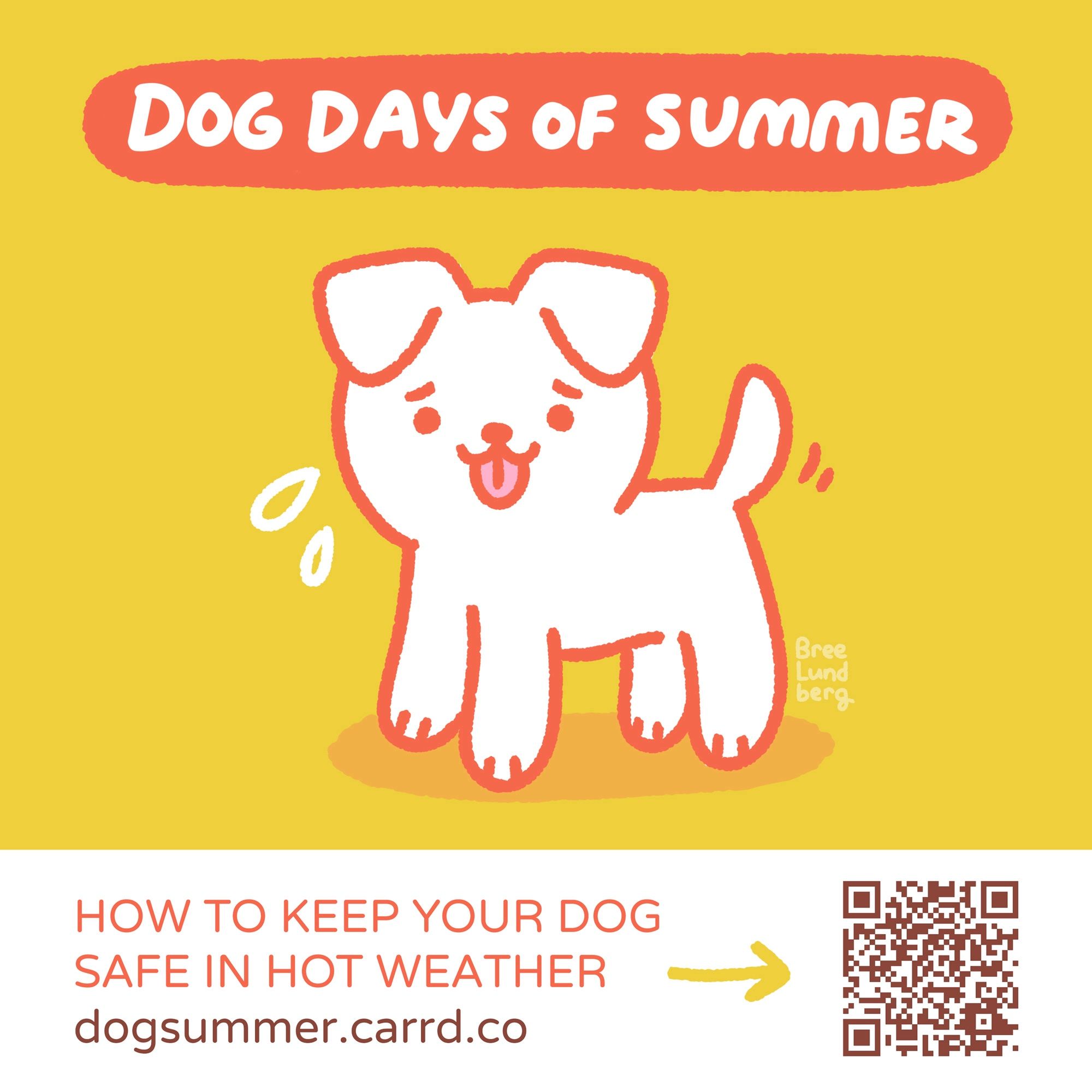 Illustration of a stylized cute white dog on a yellow background with orange line work. Above it says "dog days of summer" in hand lettering. Below is text that reads "how to keep your dog safe in hot weather - dogsummer.carrd.co " and an arrow pointing to a QR code