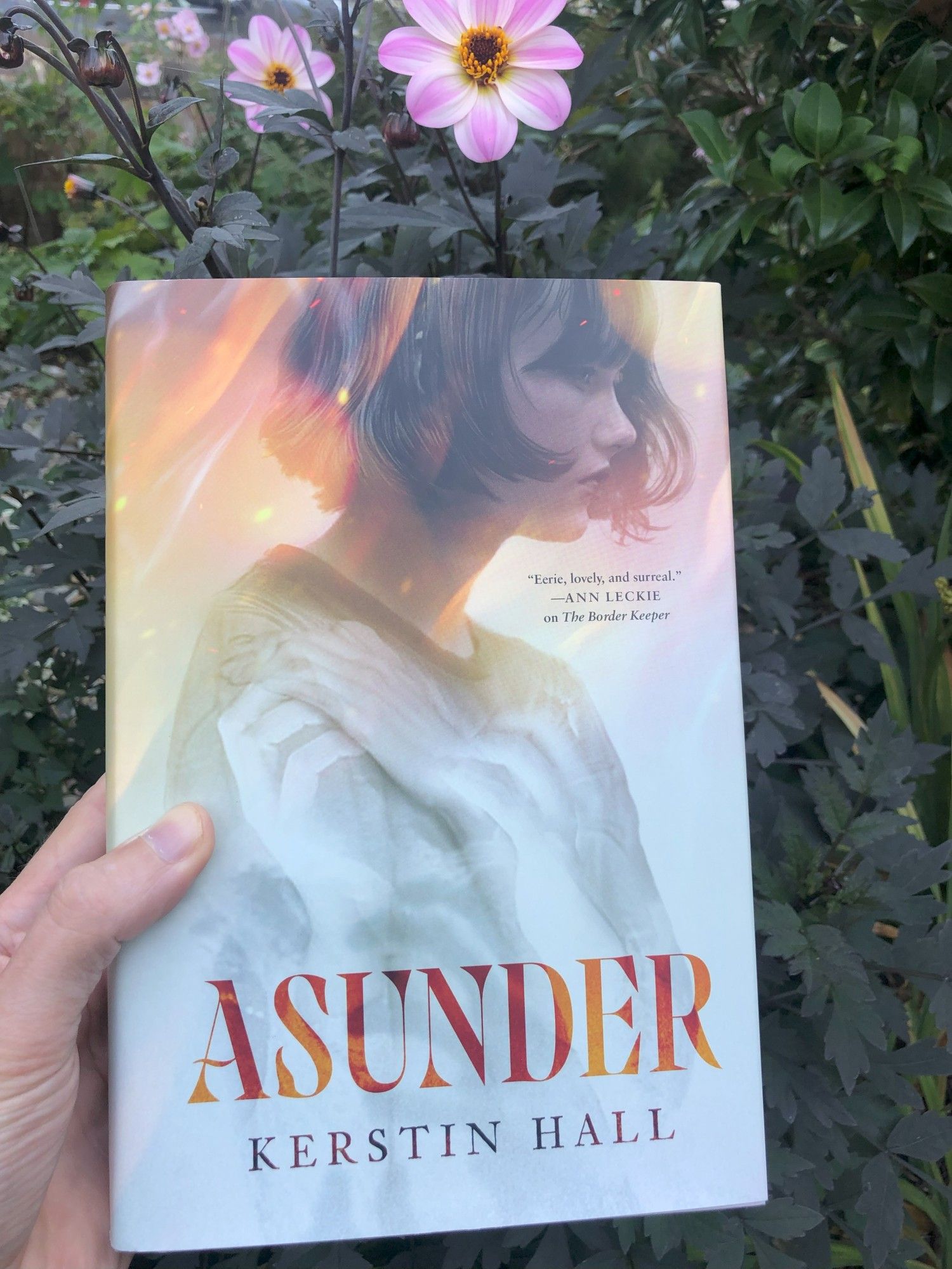 Holding the book Asunder by Kerstin Hall against a background of black dahlia from my garden