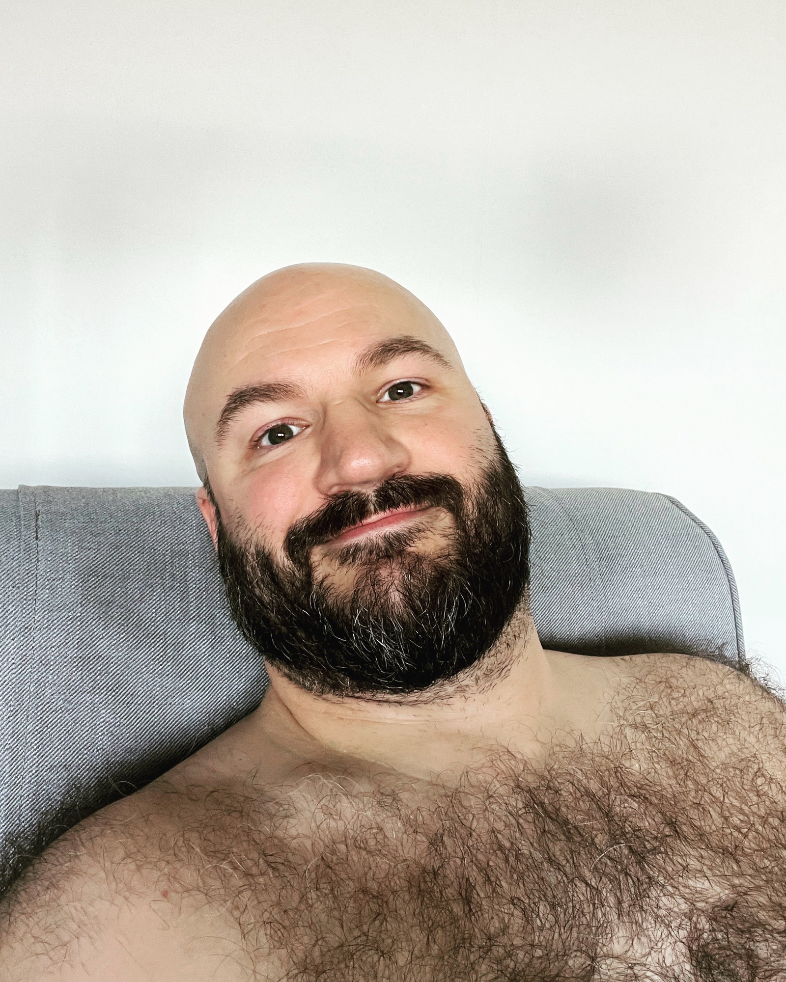 Portrait of a bald headed, bearded and shirtless man with a hairy chest and shoulders on an armchair.