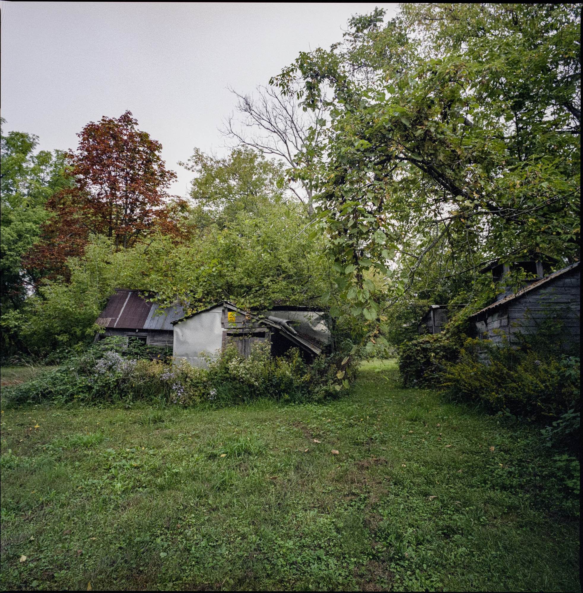 Two partly collapsed buildings, all their paint long gone, surround by overgrown forest.