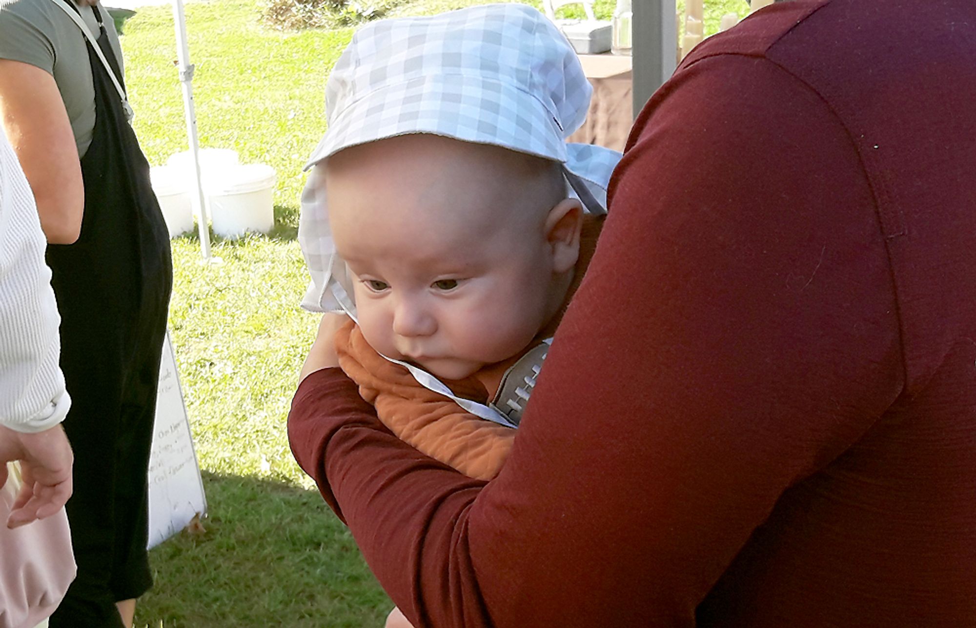 A baby being held in its father's arms at the market this morning, avidly staring at a container of multi-coloured carrots.