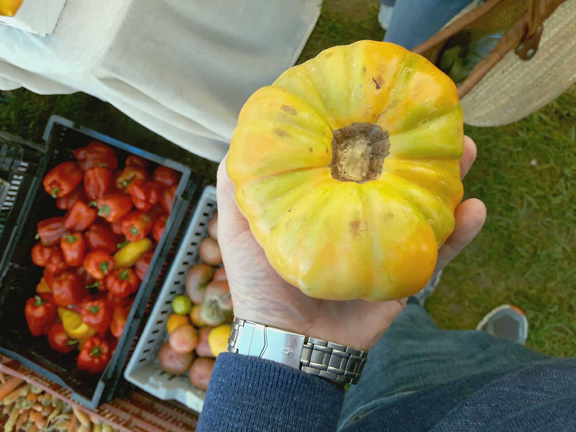 A huge tomato can barely fit into my hand. It was in a bin at the village farmers market.