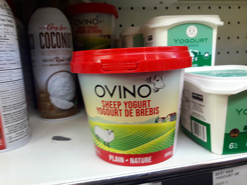 Have some plain Ovino sheep yogurt. The red lined tub of it has the head of a sheep near the lid and a drawn pic of a sheep standing in a farm field with lines of green crops. I don't think that they would allow the sheep to graze the crops. Sheep yogurt has an "acquired" taste.