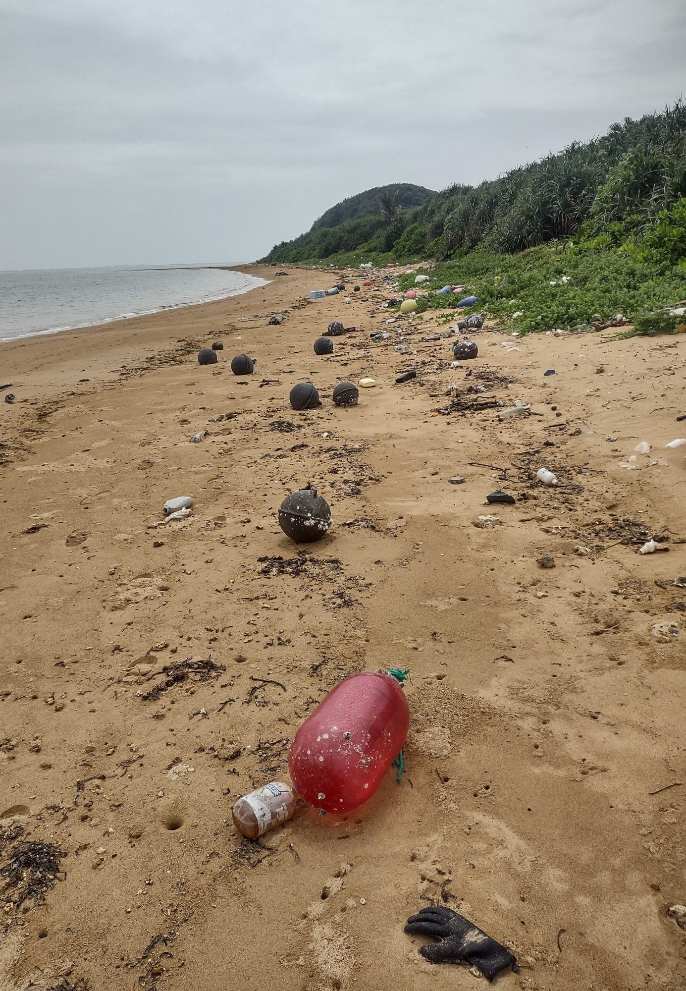 A subtropical beach with trash (almost entirely plastic, mostly bottles and fishing equipment) strewn across the tideline as far as the eye can see.