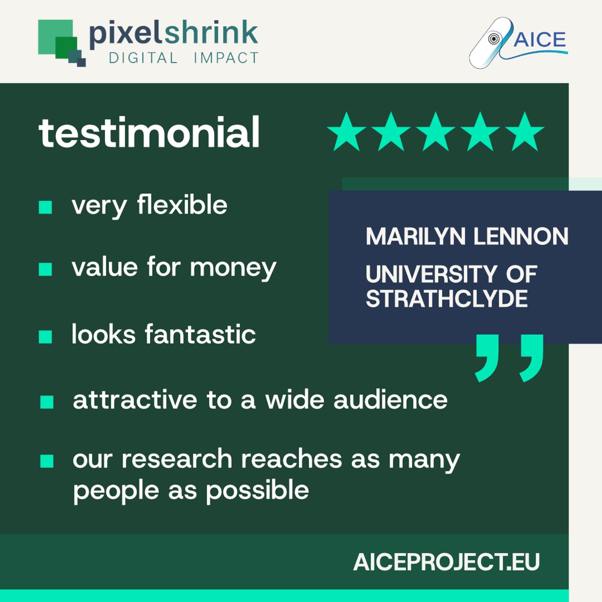 Testimonial for the AICE Project website