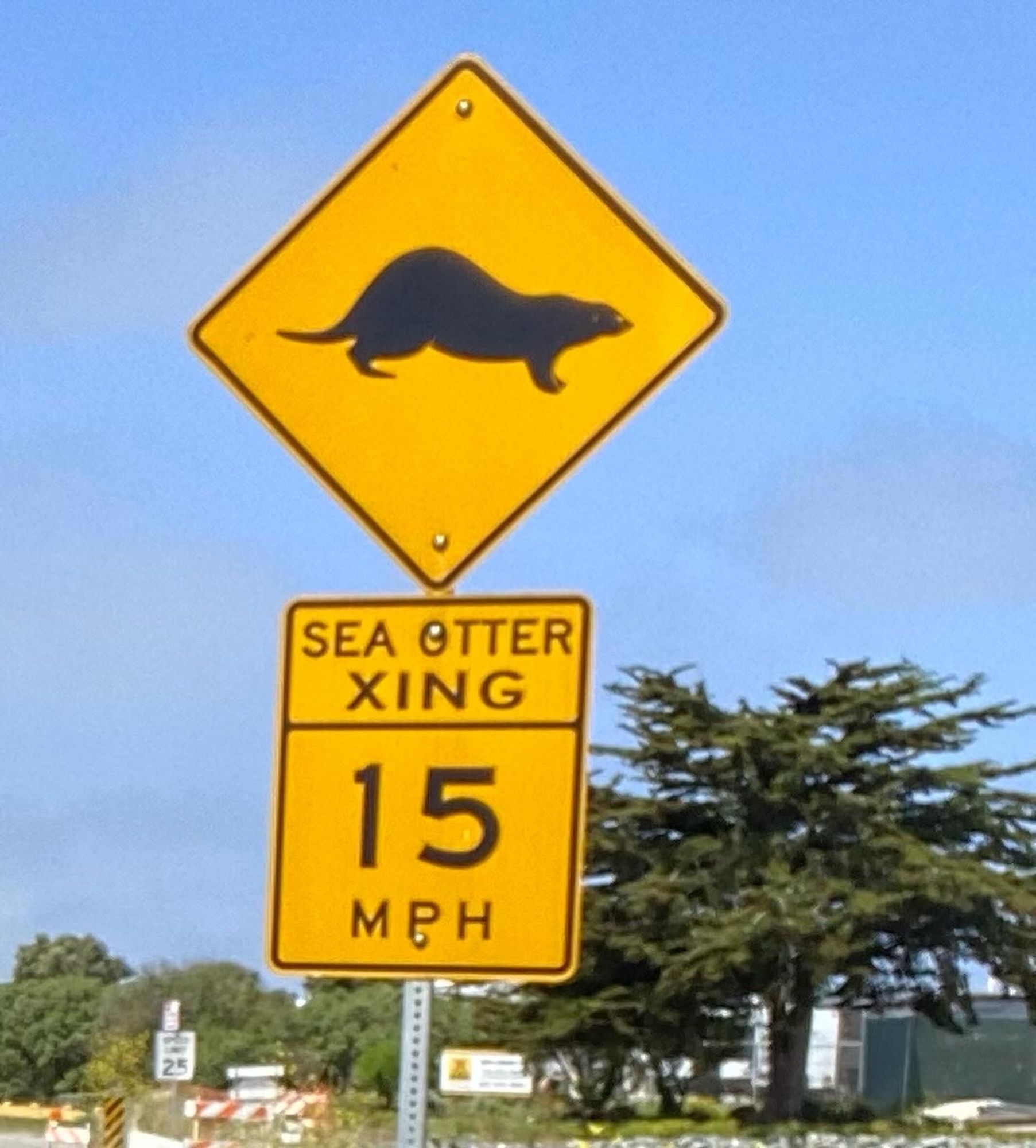 Sea otter crossing traffic sign in Moss Landing, California