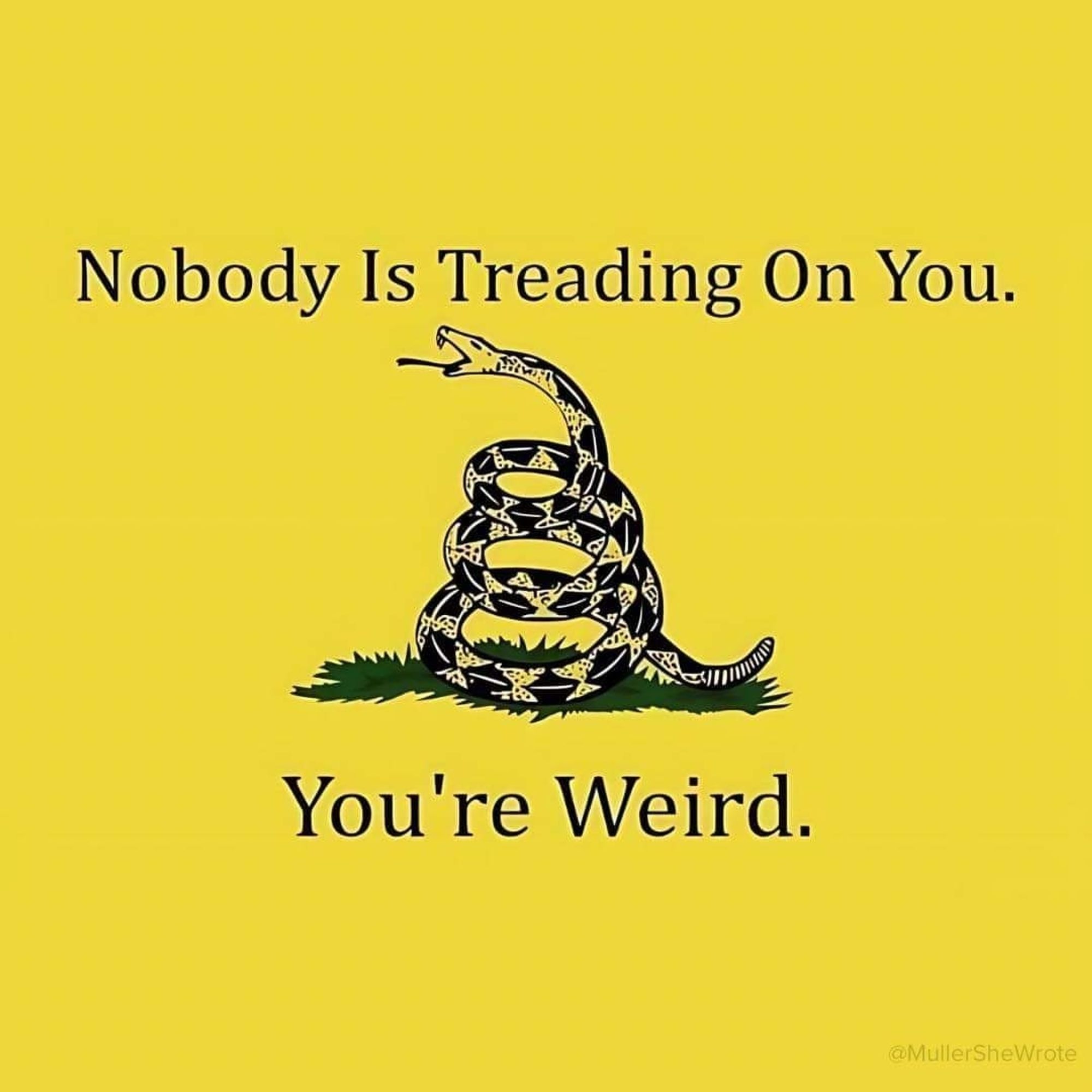 Don't tread on me snake with caption: Nobody is treading on you. You're weird.