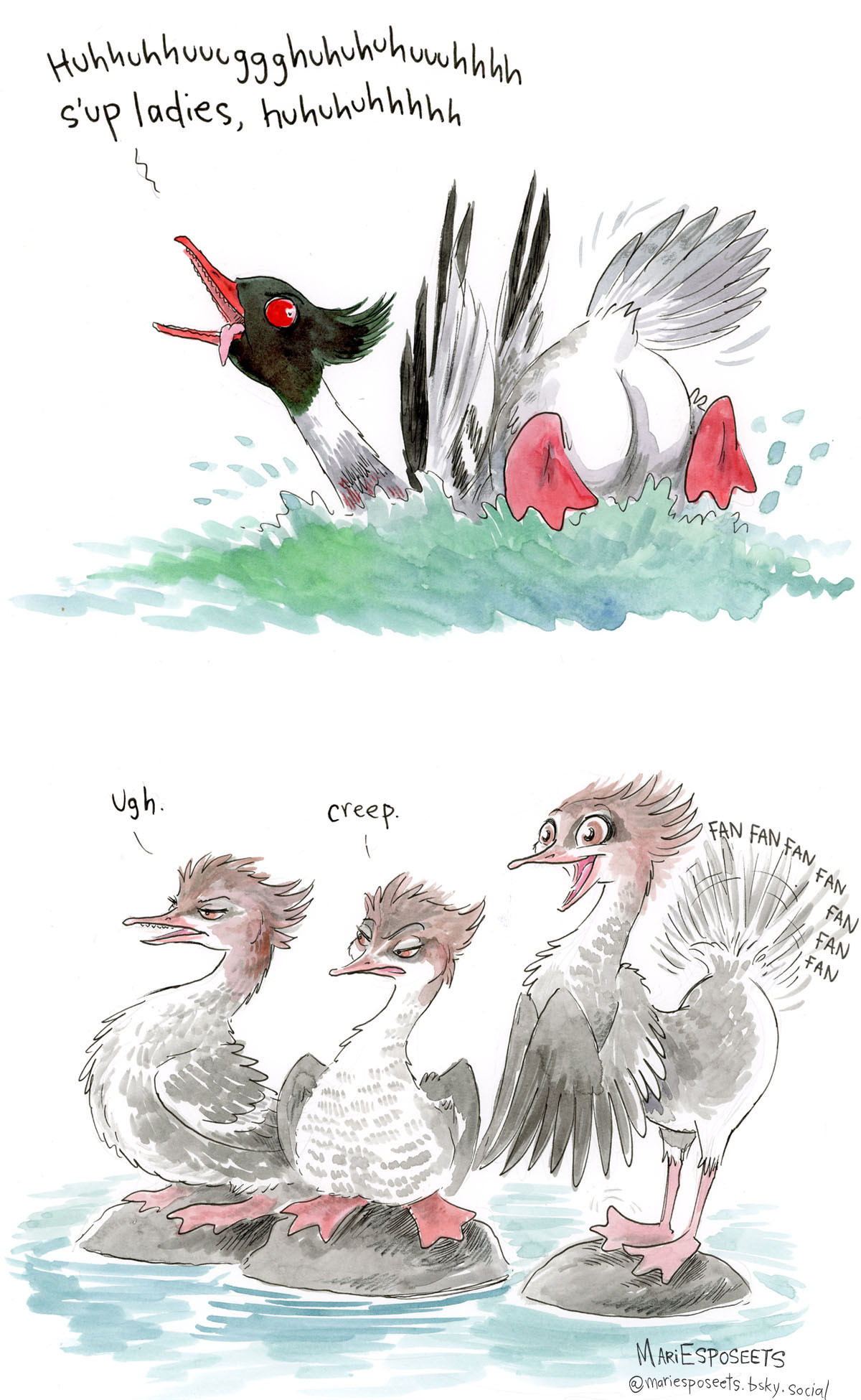 Watercolor sketch: a male red-breasted merganser does the courtship dance of sticking his butt out of the water and looking weird (see real-life  red-breasted merganser mating dance). Says: Huhhhughhuh s'up ladies, huhuhuh. 
A group of female mergansers on rocks are watching. First one: Ugh. Second one: Creep. 
Third one is gawking in delight and her tail feathers are fanning like crazy trying to cool her down. 