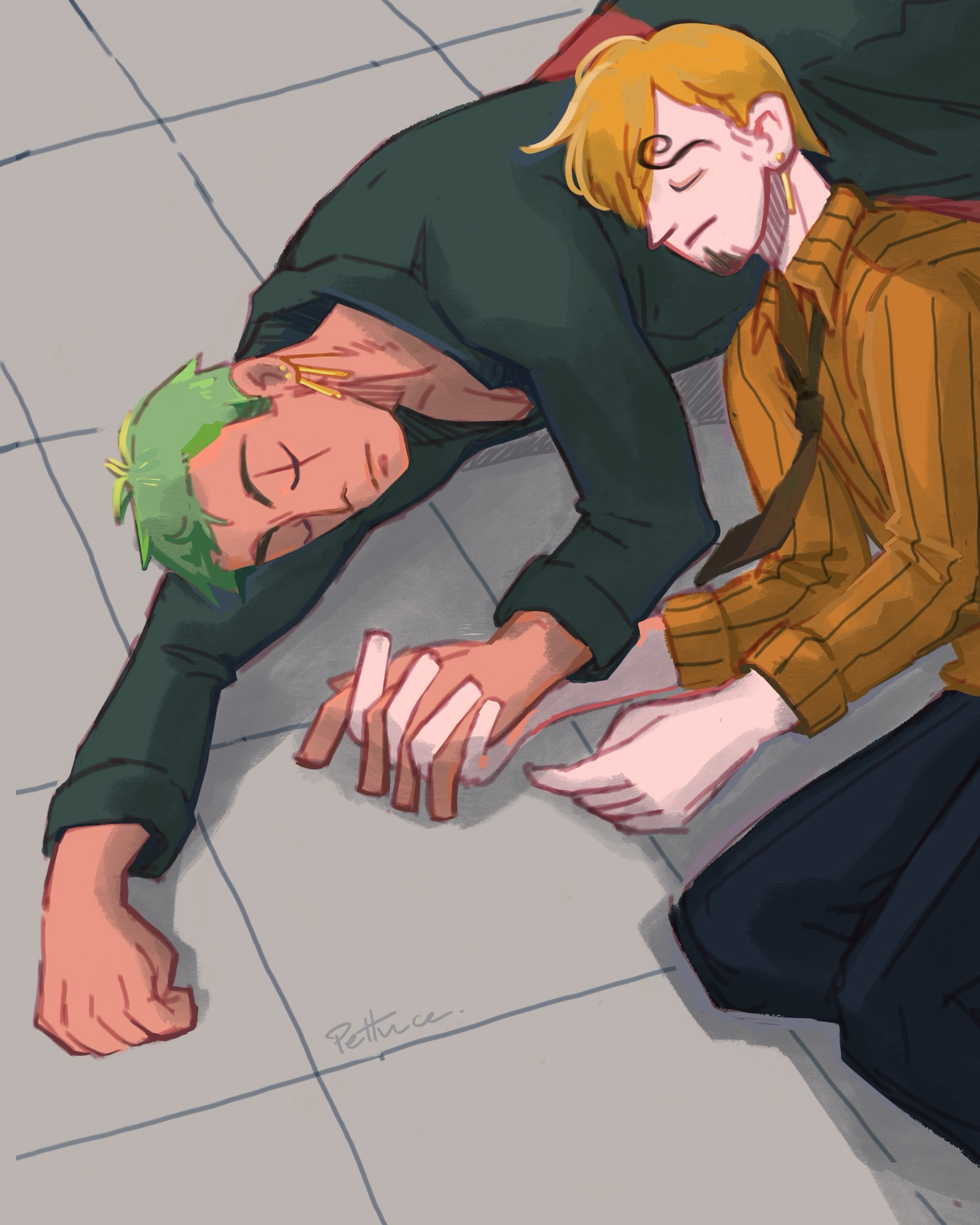 Zoro slept half chest on ground and his head on his right arms. Sanji slept on side, his head on zoro’s flank. They’re holding each other hands. Sanji wear one of the zoro’s earrings