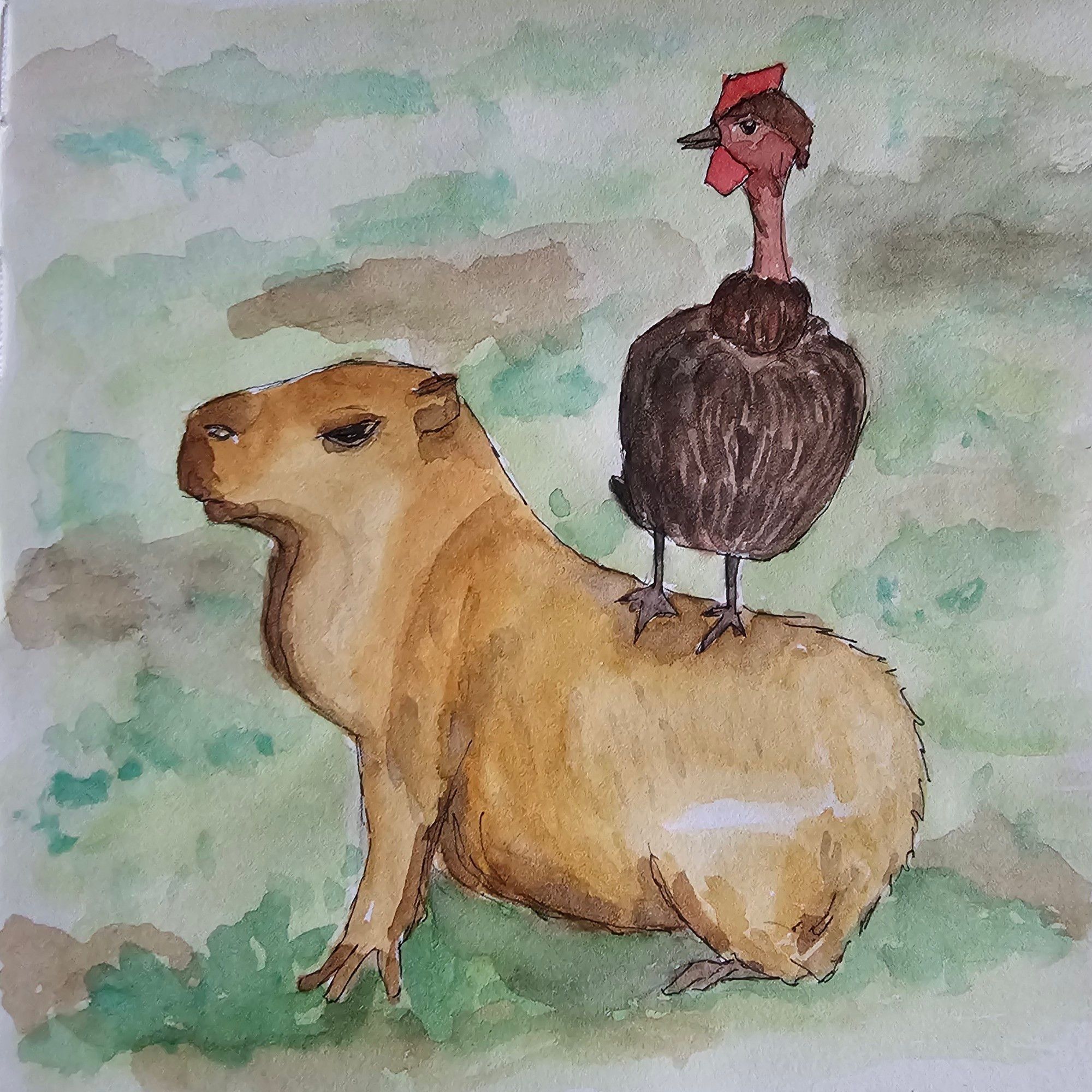 Watercolour with fineliner: Lateral view of a capybara with a squid on its back, frontal with the same view direction as the water pig

Aquarell mit Fineliner: Seitliche Ansicht eines Wasserschweins mit einem Gockel auf dem Rücken, frontal mit gleicher Blickrichtung wie das Wasserschwein