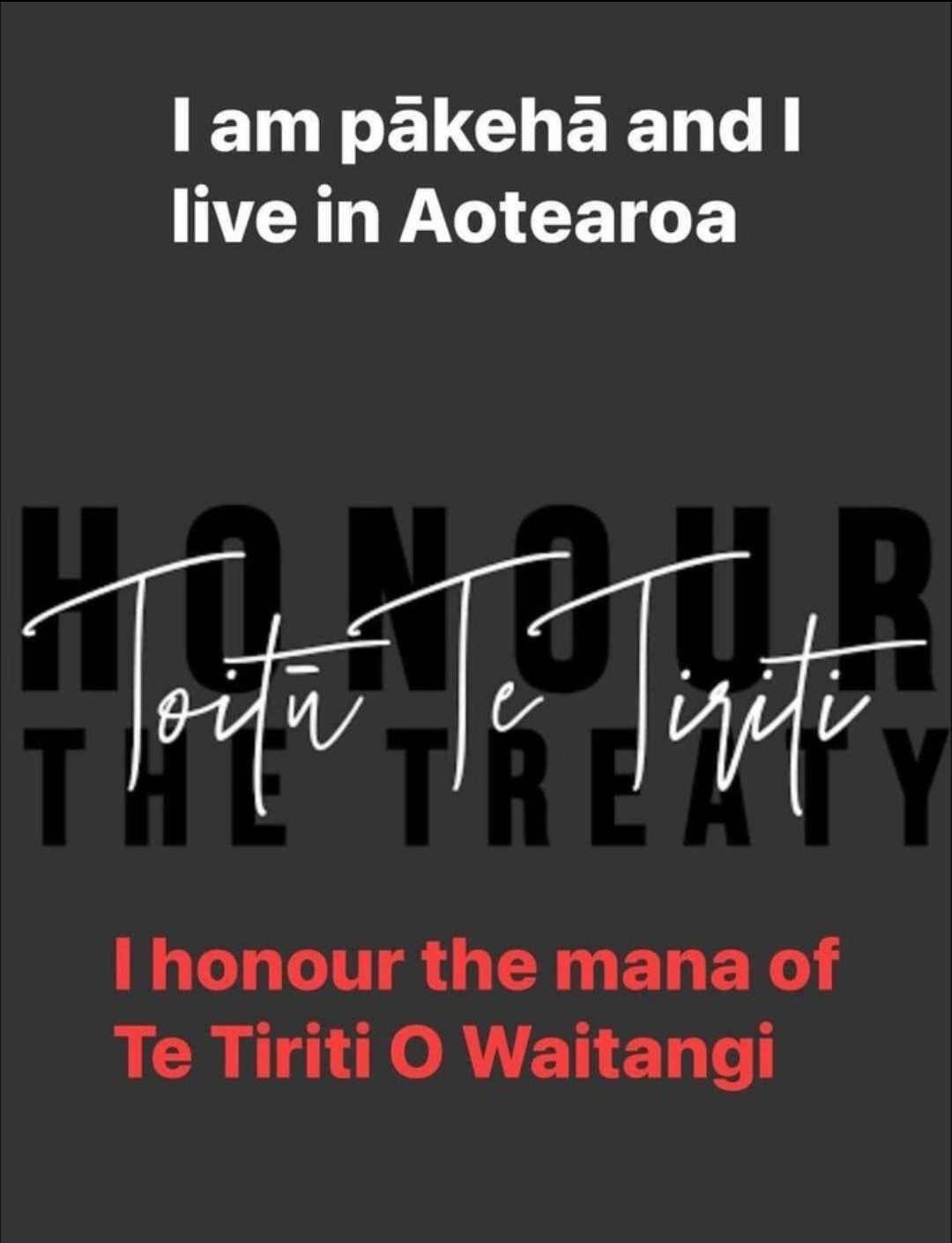 I am Pākehā and I live in Aotearoa

I honour the mana of The Tiriti O Waitangi