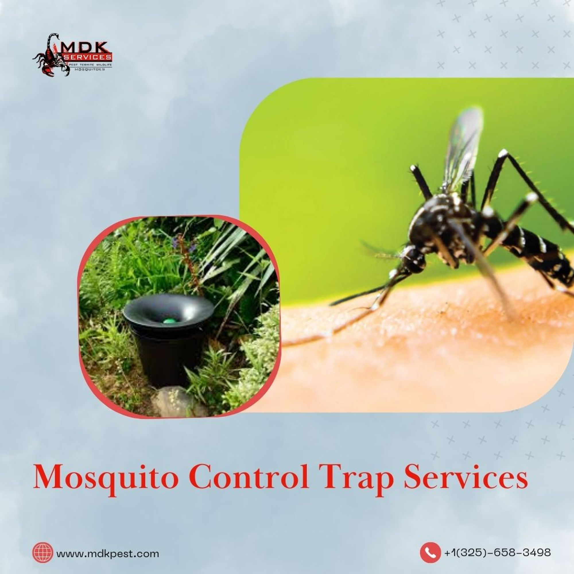 A mosquito sitting on a hand and a mosquito trap put in a bush