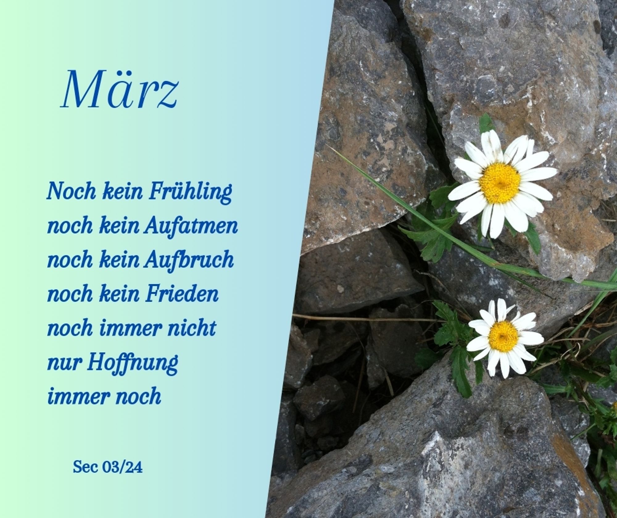 Foto mit zwei Gänseblümchen zwischen Steinen. Text:
März
Noch kein Frühling
Noch kein Aufatmen
Noch kein Aufbruch
Noch kein Frieden
Noch immer nicht
Nur Hoffnung
Immer noch