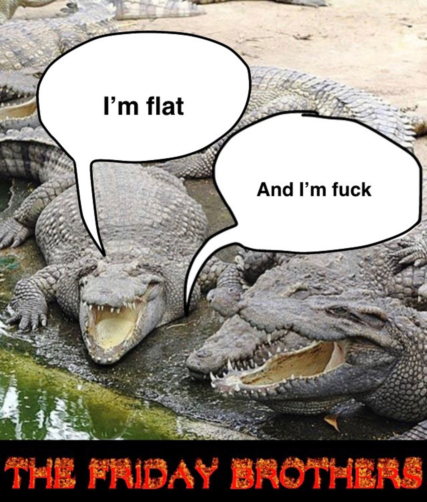 two crocs that say “I’m flat” and “I’m fuck” captioned : the Friday brothers