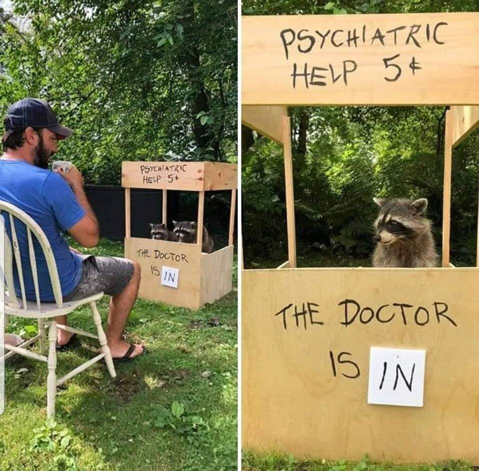 Raccoon behind stand that says PSYCHIATRIC HELP 5 CENTS
THE DOCTOR IS IN
