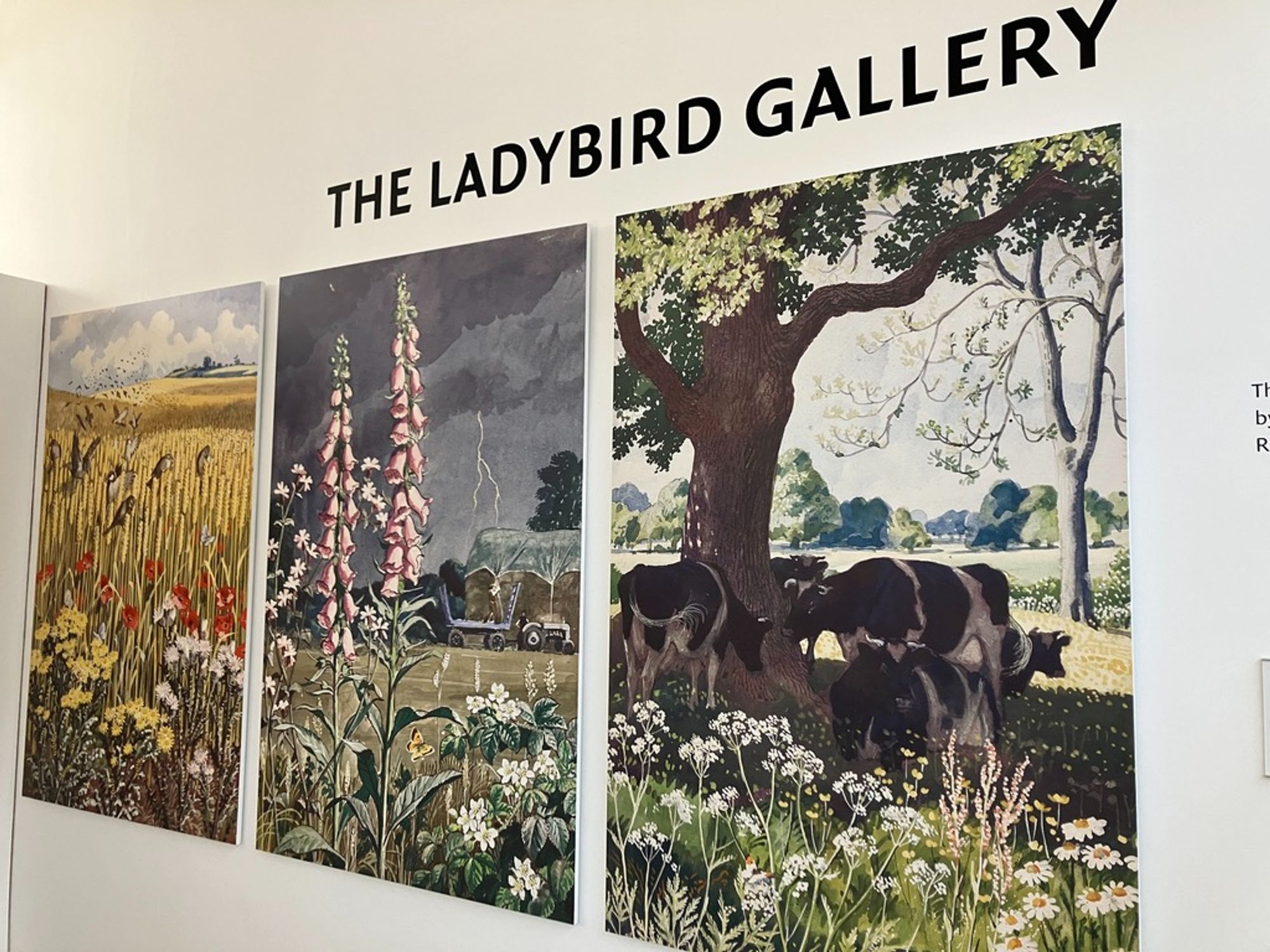 A mural on a wall says The Ladybird Gallery above three pictures: 1. A field of ripe corn with poppies, 2. A thunderstorm in the distance with pink foxgloves in the foreground, 3. A few cows stand under a tree.