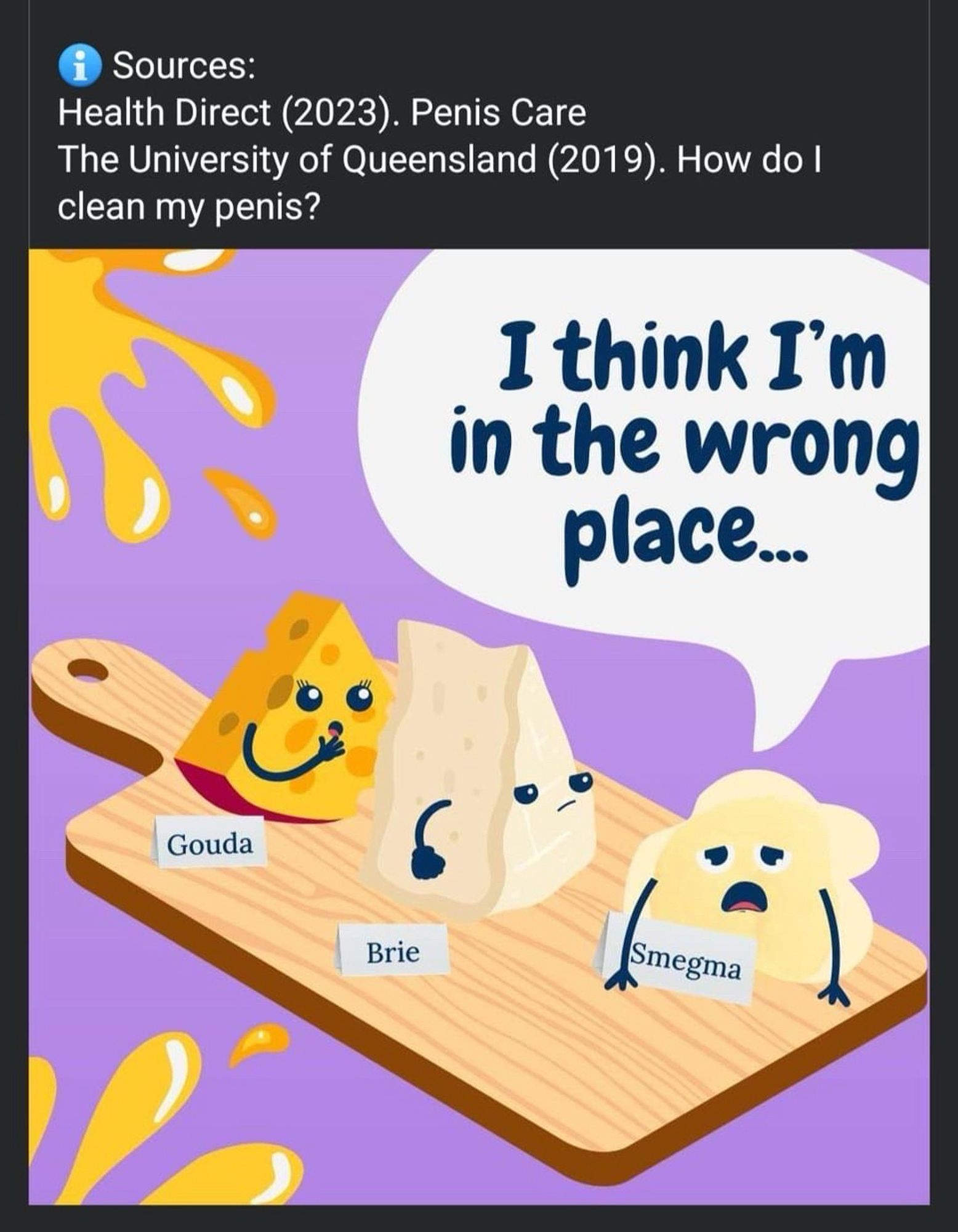 Sources:
Health Direct (2023). Penis Care
The University of Queensland (2019). How do I clean my penis?
I think I'm in the wrong place...
Gouda
Brie
Smegma