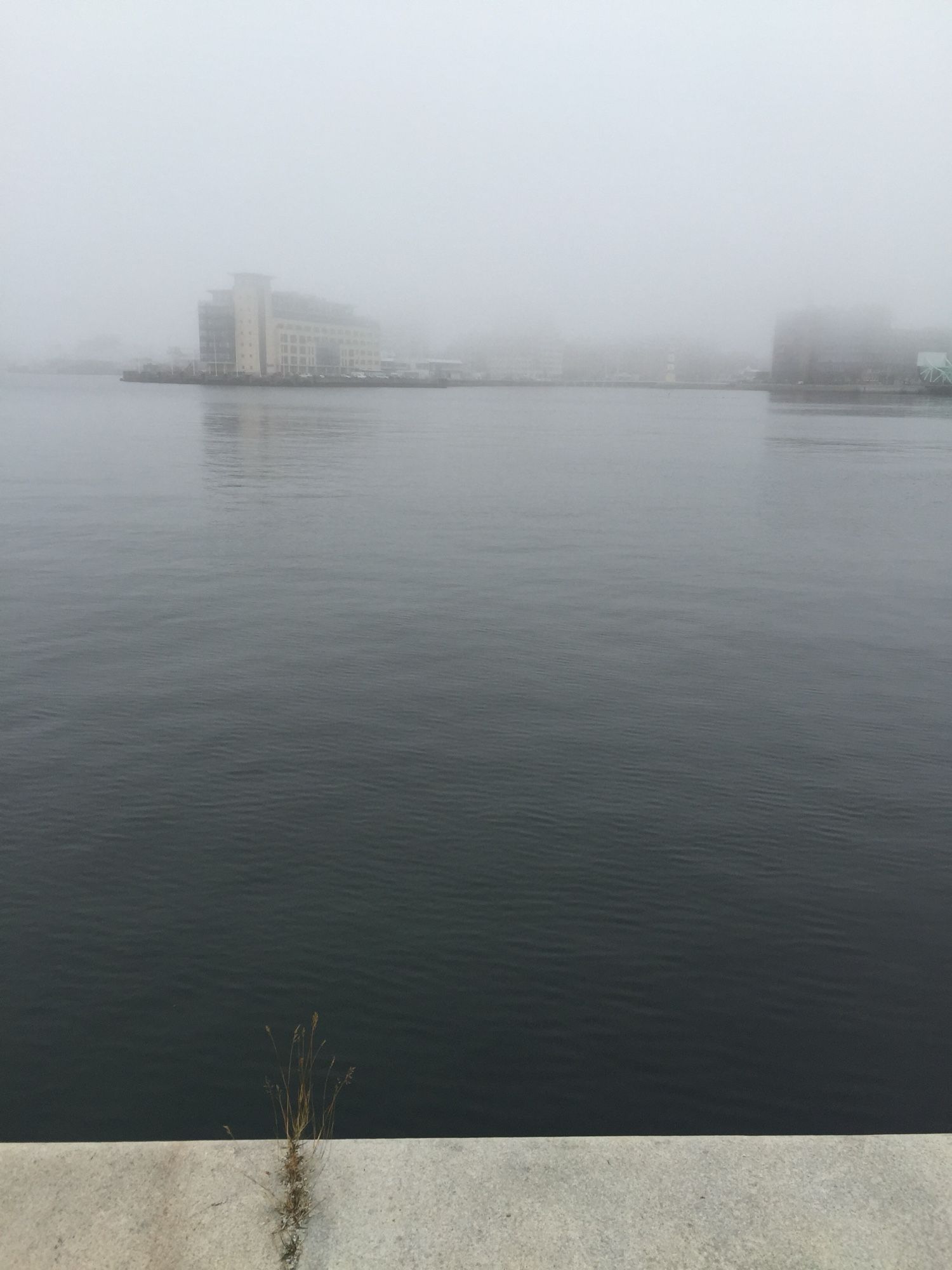 Fog over harbour