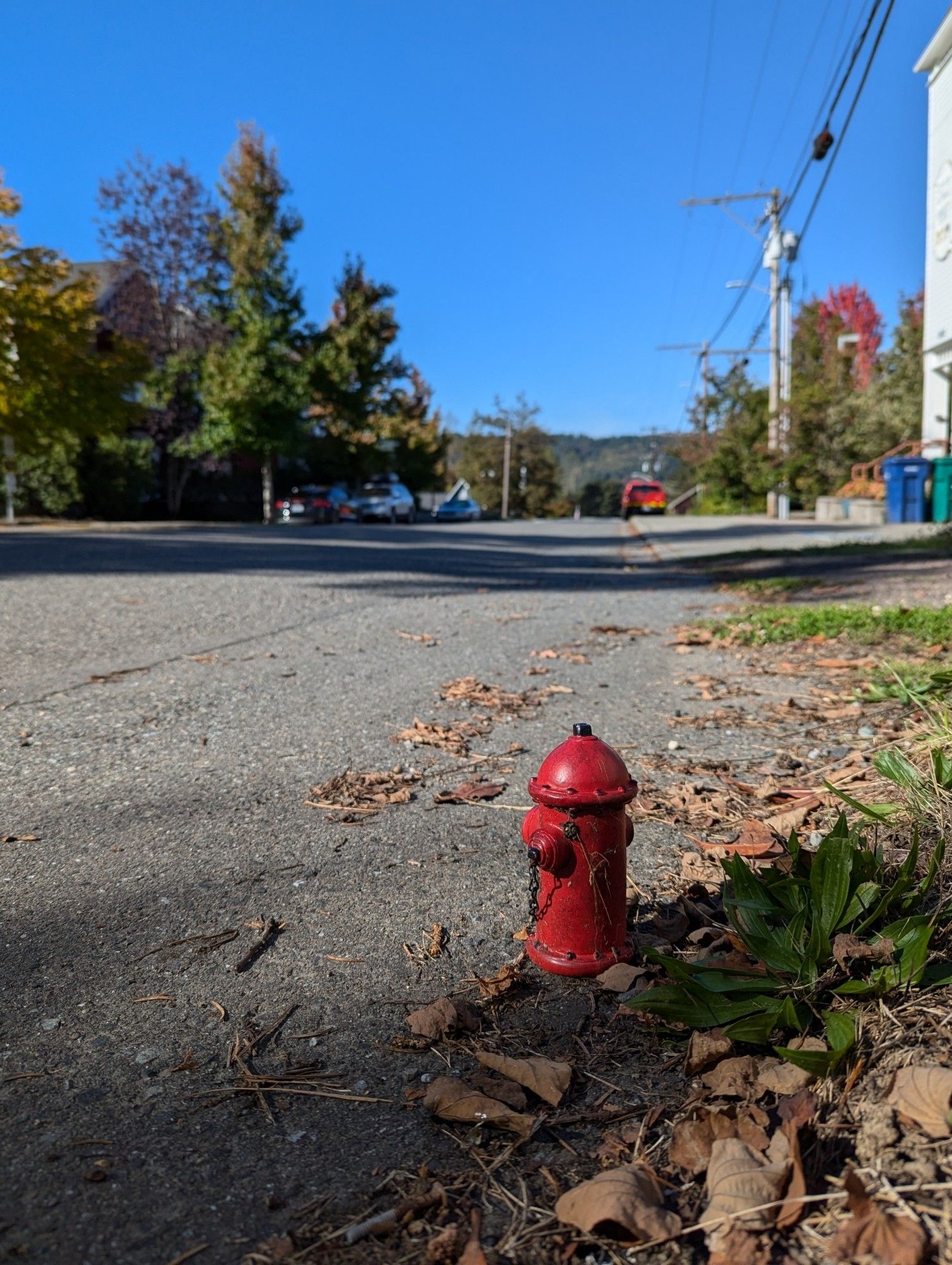 A tiny red fire hydrant on the side of a road. Brown leaves nearby, no cars, blue sky, trees turning.