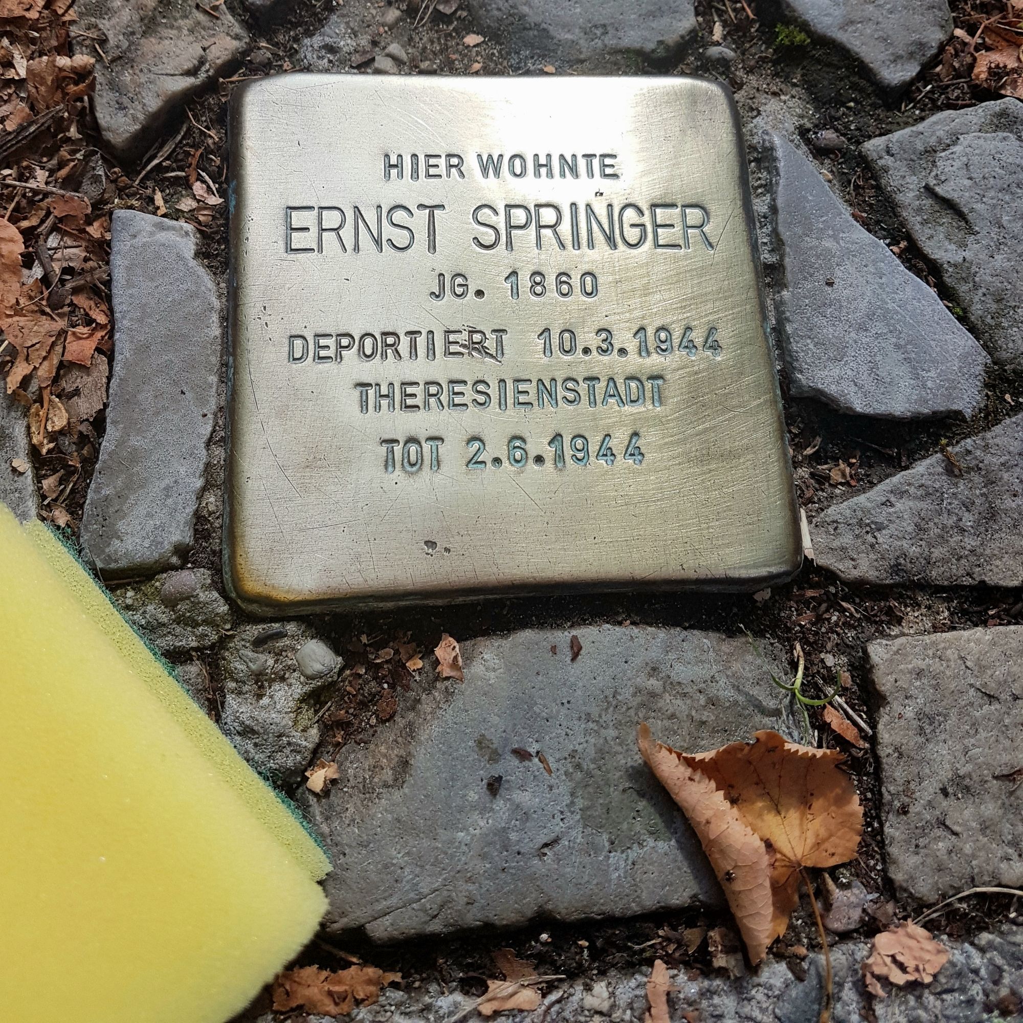 Stolperstein mit der Inschrift:

HIER WOHNTE
ERNST SPRINGER
JG.1860
DEPORTIERT 10.3.1944
THERESIENSTADT
TOT 2.6.1944