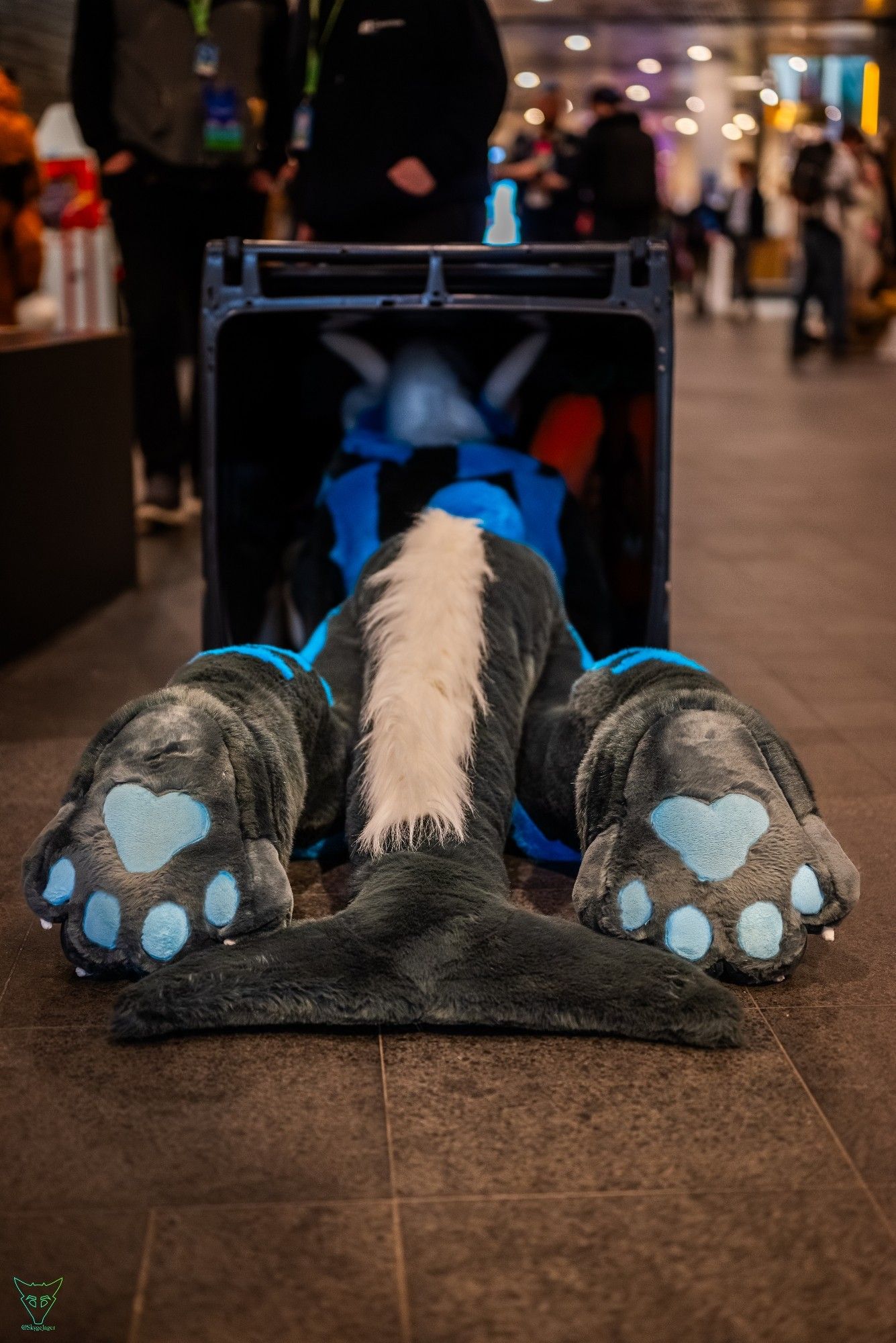 A dragon-dolphin fursuiter stuck inside a trash can that smelled just a bit too fishy