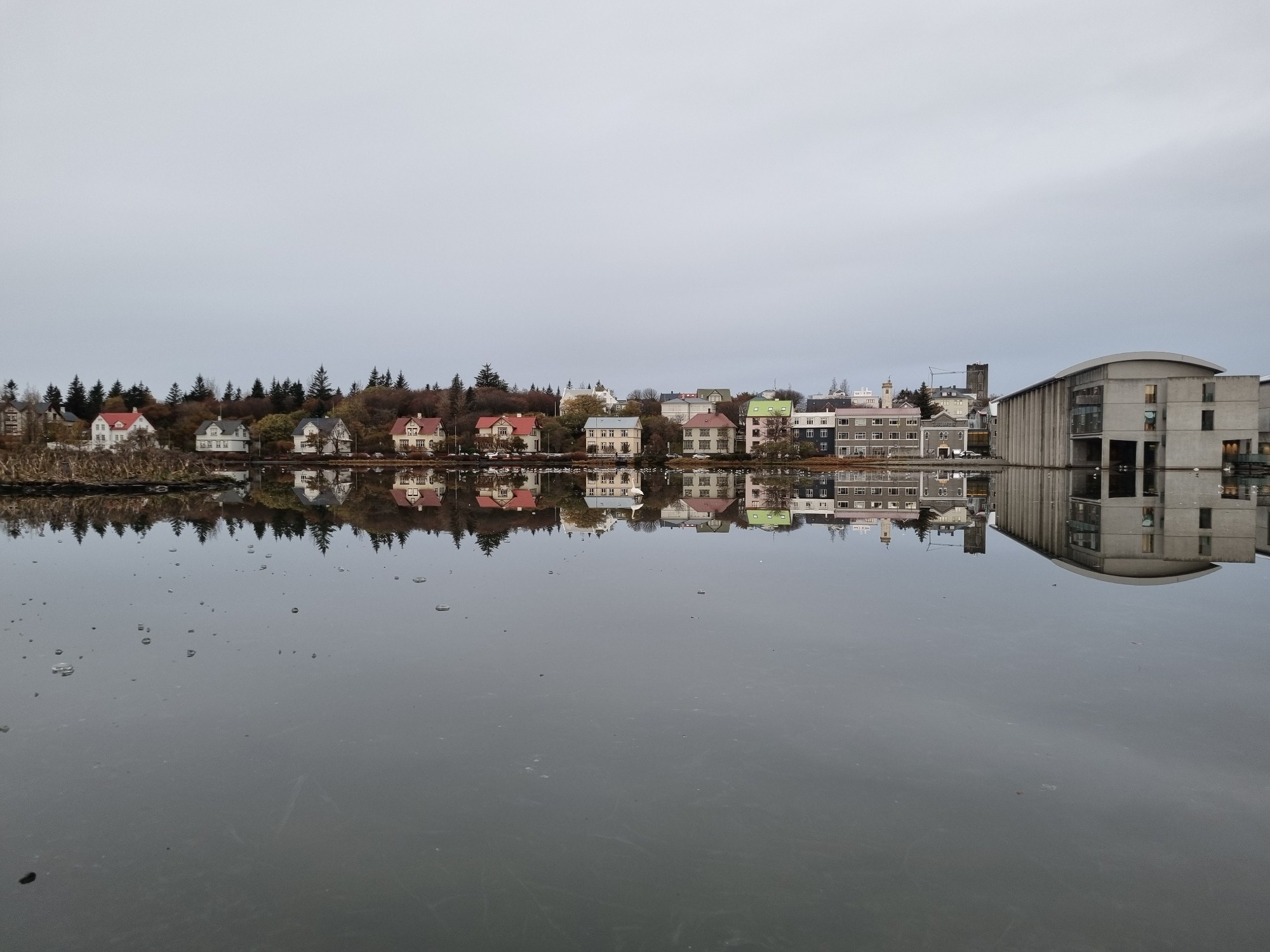 Reflections on a pond