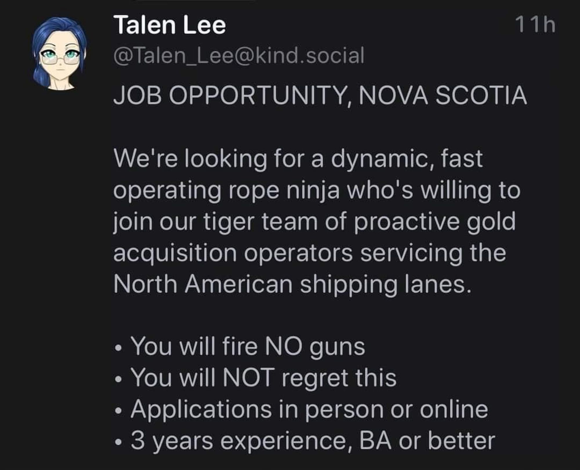 Image of a mastodon(?) post: 
@Talen_Lee@kind.social
JOB OPPORTUNITY, NOVA SCOTIA
We're looking for a dynamic, fast operating rope ninja who's willing to join our tiger team of proactive gold acquisition operators servicing the North American shipping lanes.
• You will fire NO guns
• You will NOT regret this
• Applications in person or online
• 3 years experience, BA or better