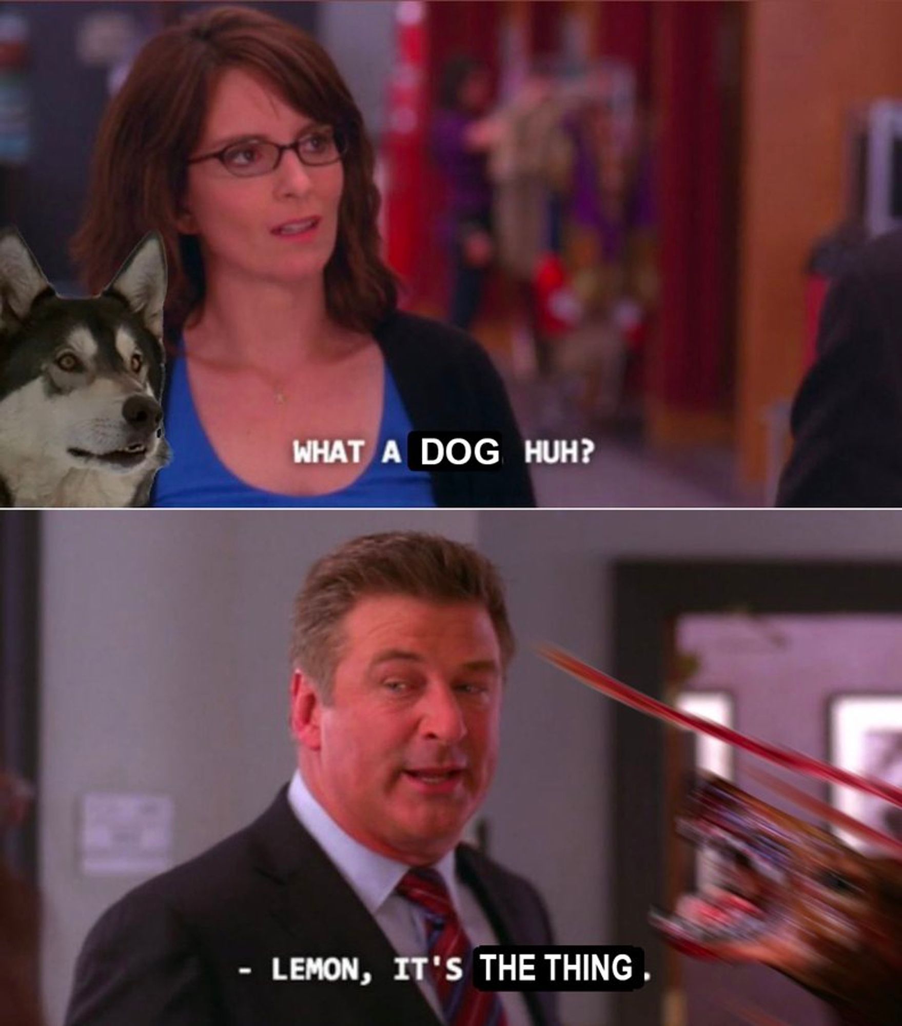 liz lemon and a husky dog in the halls of nbc at 30 rockafeller plaza
she says "what  a dog huh?" to her bos jack in the hopes of impressing him
jack donaghy says, tired and exhasperated with the blundering disaster that is his young network protege simply informers her of the truth
"lemon, it's the thing" the beast has already begun its horrible transformation to something otherworldly and terrible 

Tthe sexual tension between liz and jack is stronger than ever some day he will impregnate her with his thick uncut heavy irish member.