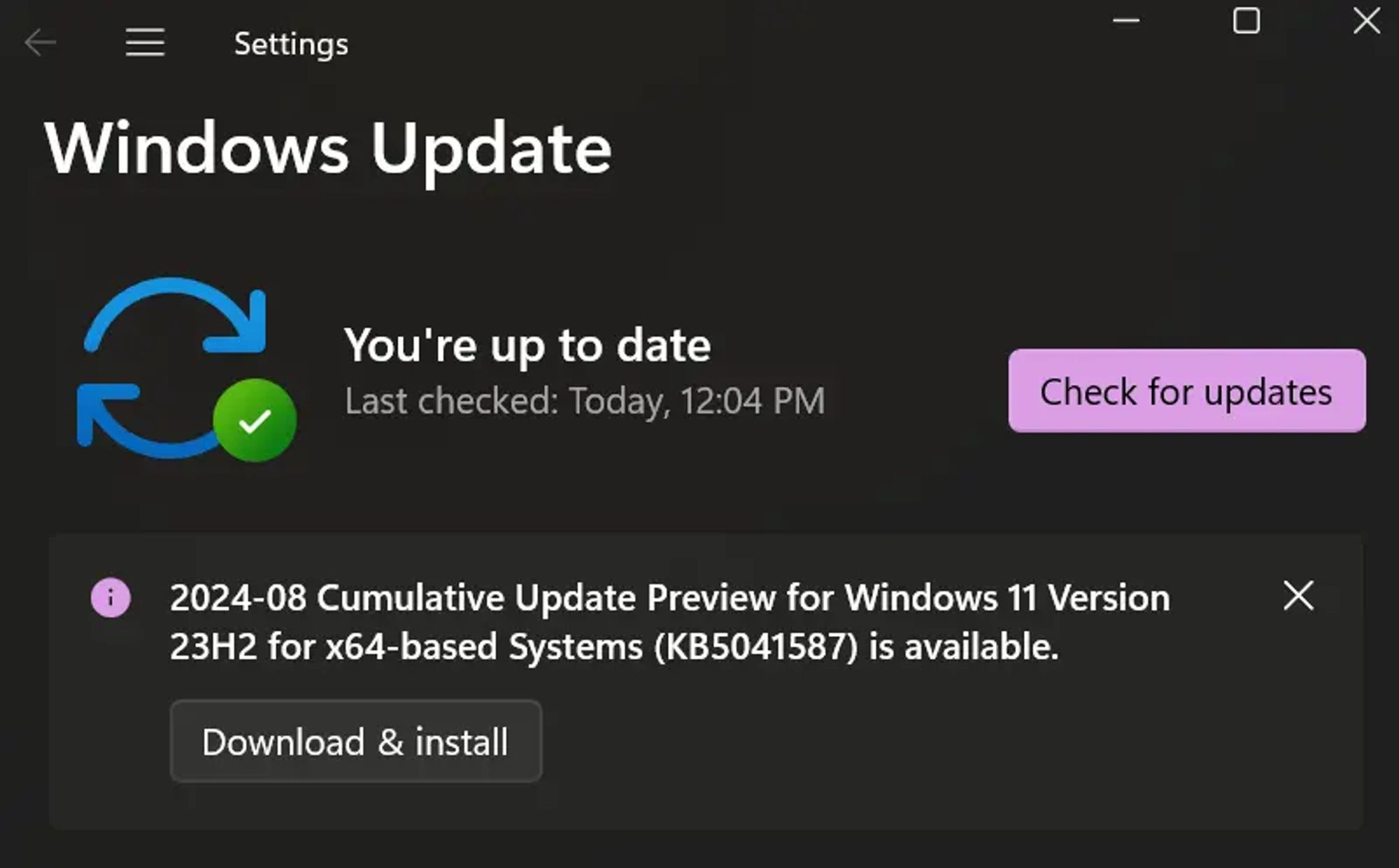 A Windows Update window noting "You're up to date", but listing the optional Cumulative Update Preview for 23H2, KB5041587.