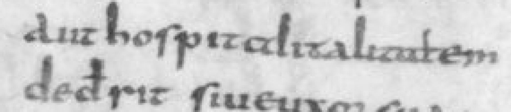 snippet of a few words in Latin from a manuscript of the Salic laws dating to the second quarter of the ninth century. black and white, rather poor resolution. the text reads "aut hospitalitaliatem! on the first line, and "dederit siue uxor" before the rest of the line vanishes into illegibility below the picture edge.