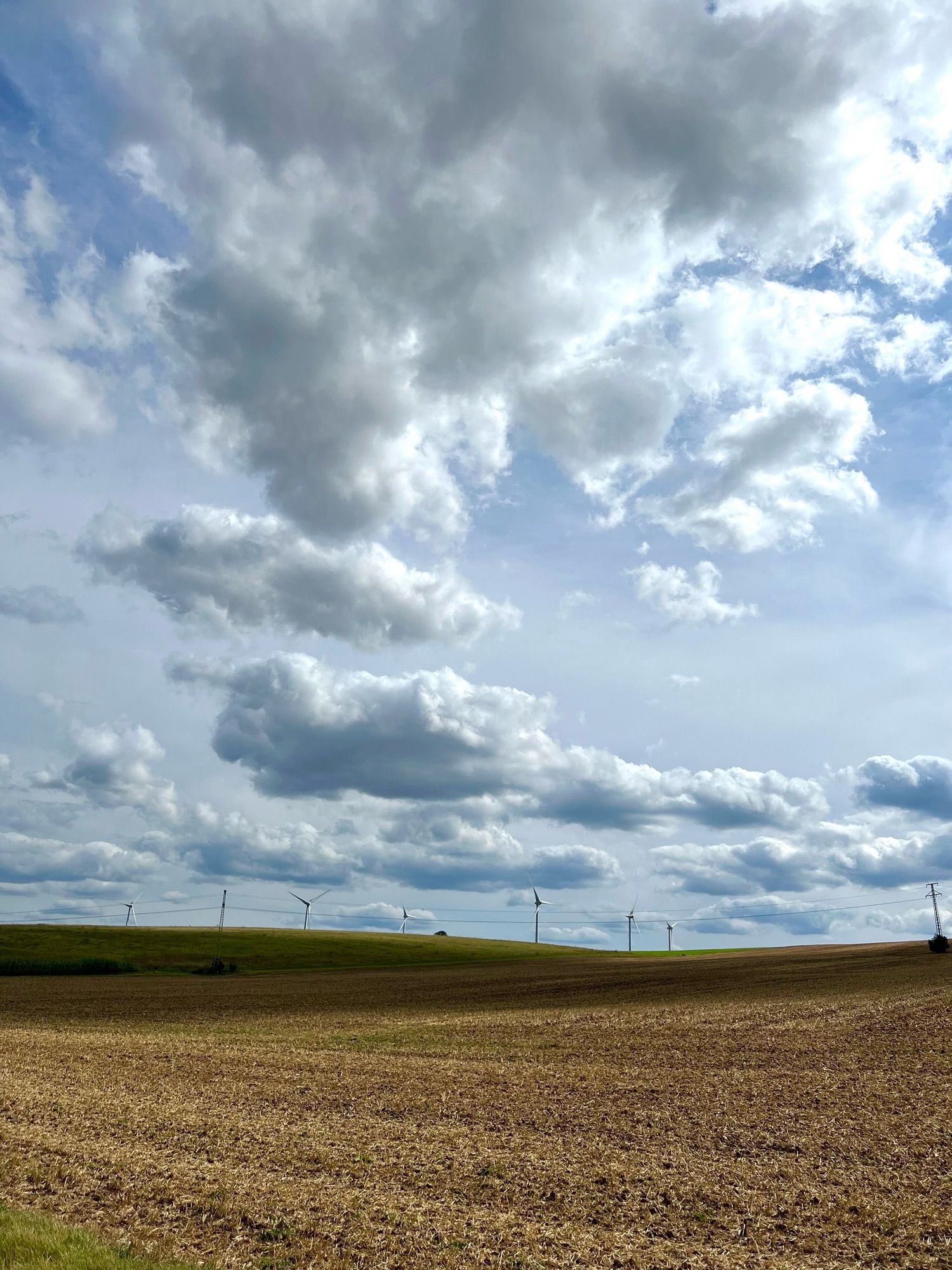 Landschaft mit Feld und Wolkenhimmel.