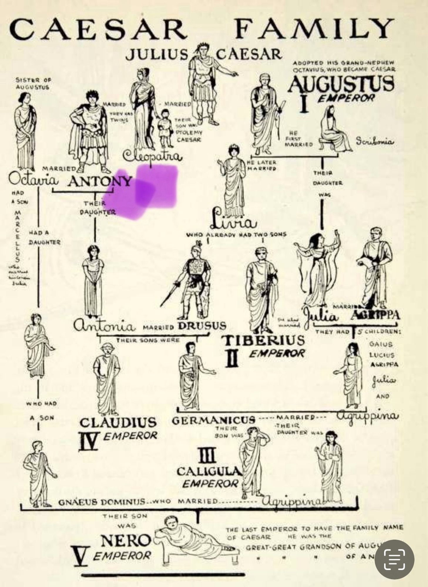 Family tree from Julius Caesar to Nero