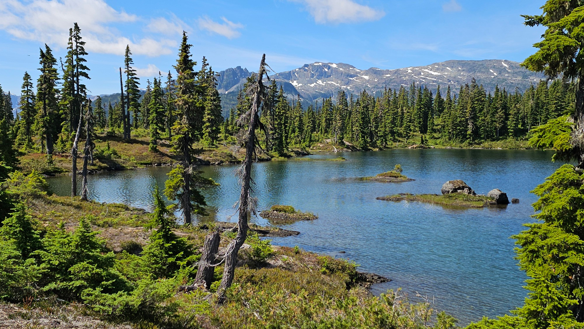 A beautiful lake in the sub alpine on Vancouver Island BC