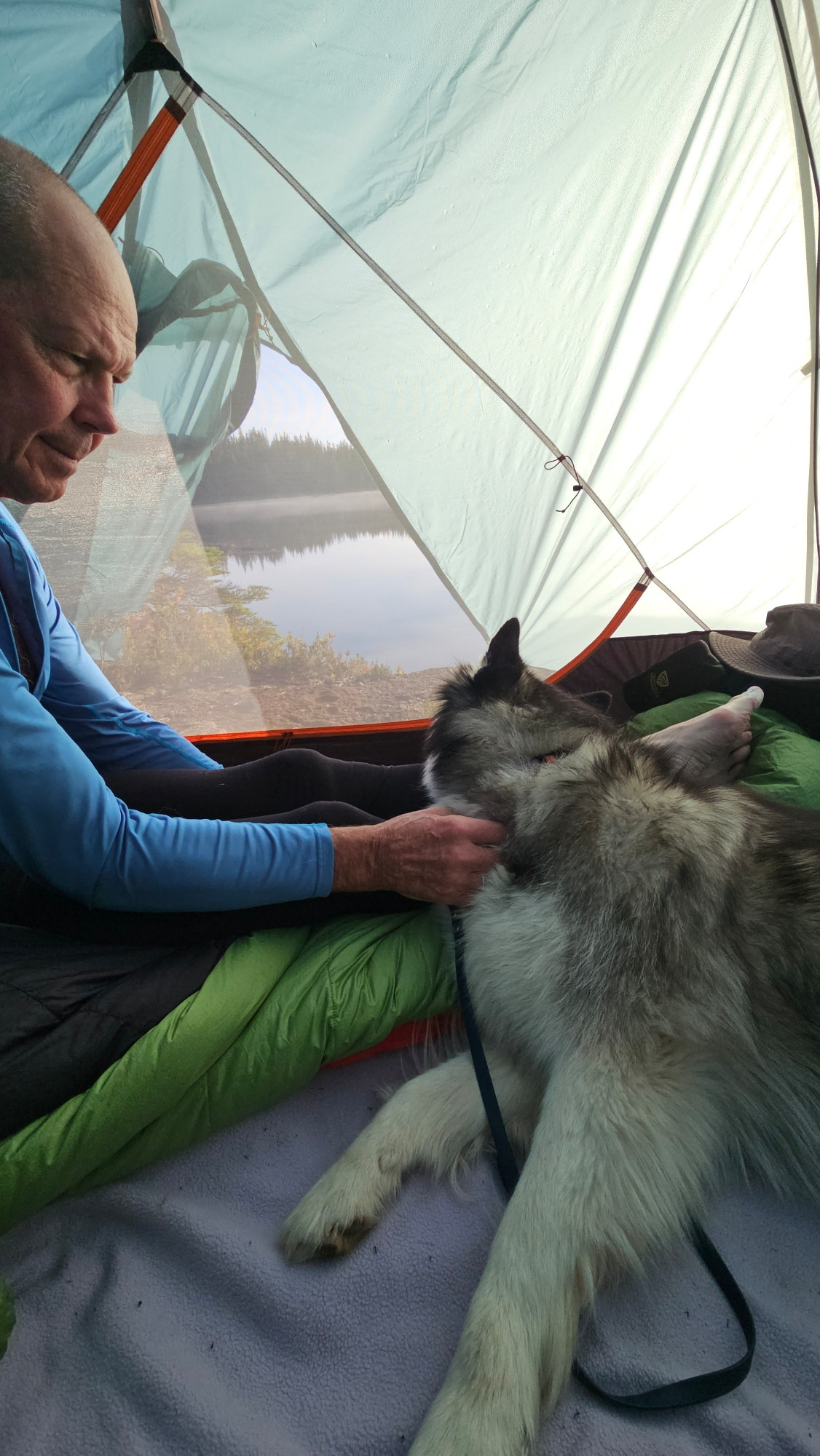 Sofi was enjoying her first backpacking trip. Dad giving her a few svratches as she gazes out of the tent that is overlooking a lake.