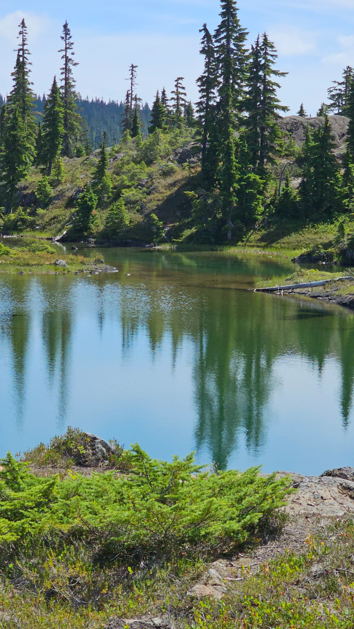 So many shades of green in the beautiful lake.