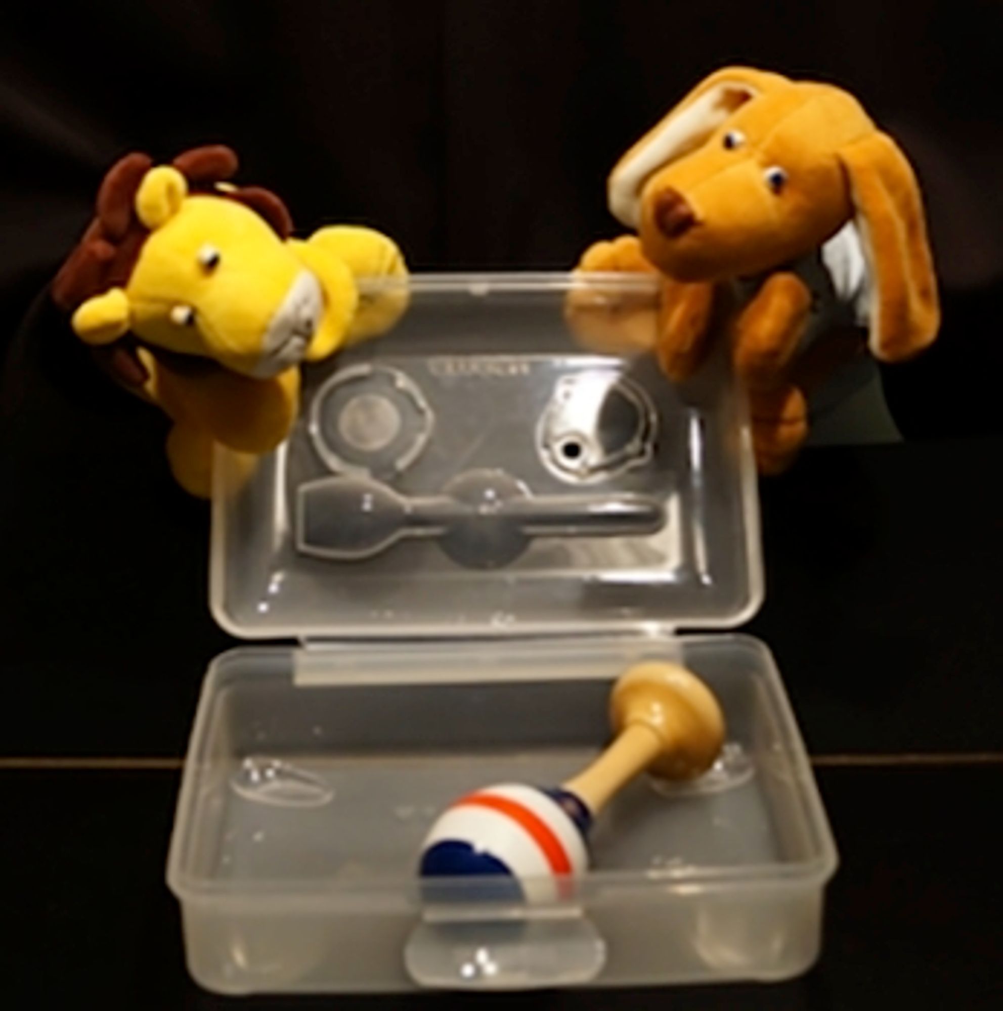 A dog puppet and a lion puppet lifting the lid of a transparent box which contains a toy rattle