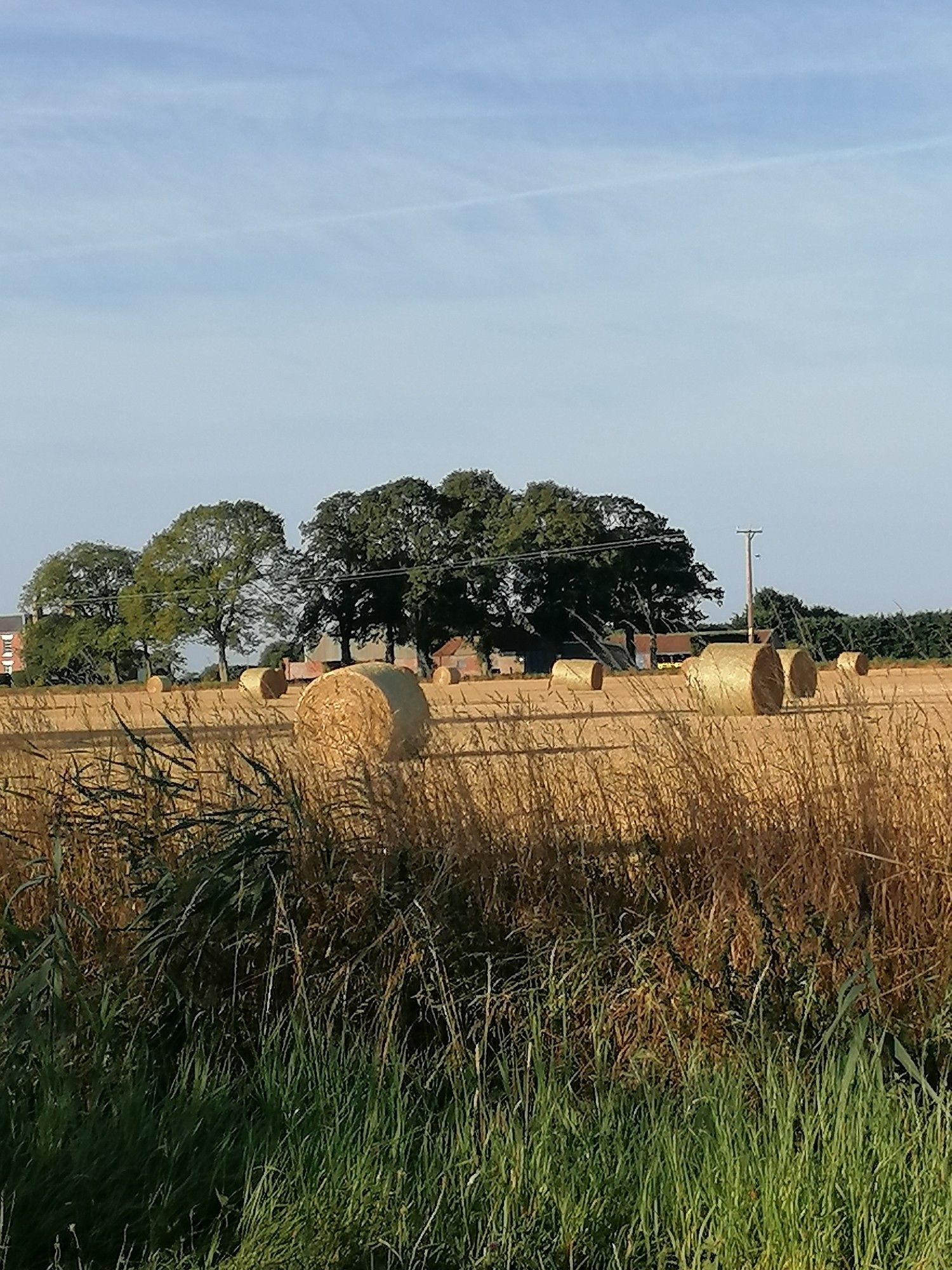 Straw bales in a recently harvested field.